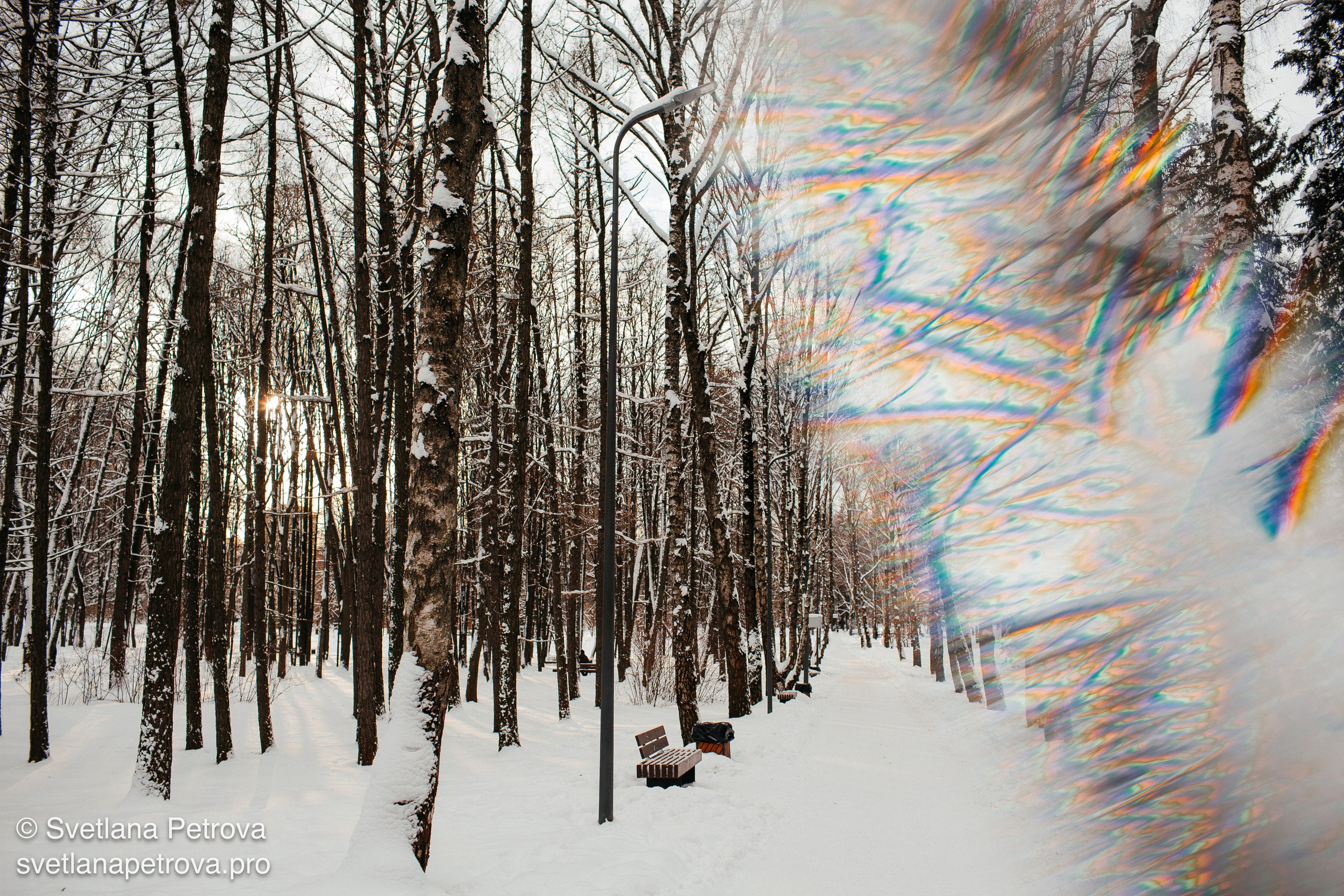 Новогодние Локации 1 января 2026. Фотограф Светлана Петрова