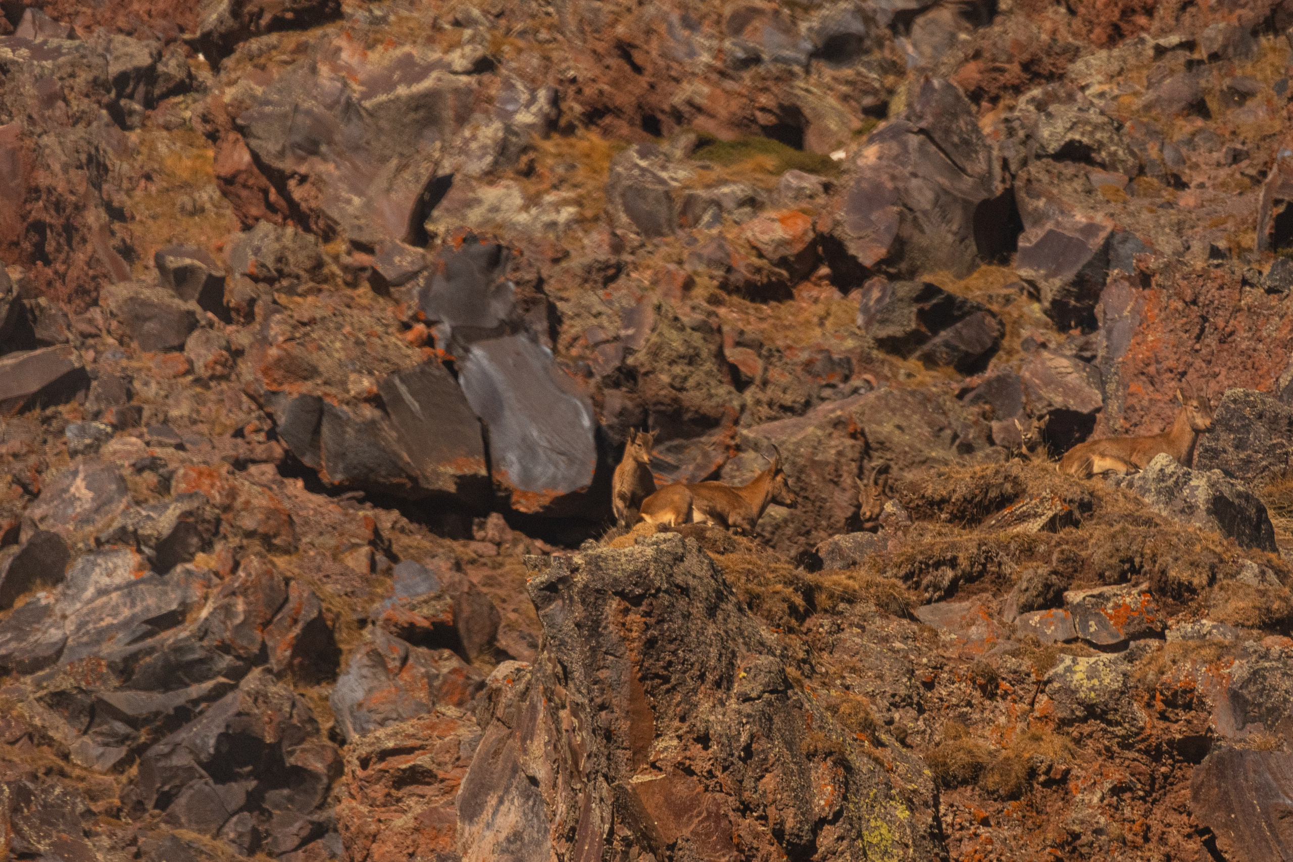 Эльбрус. Фотограф Мальнева Юлия в Липецке, в Москве. Фотостудия MARU в Липецке