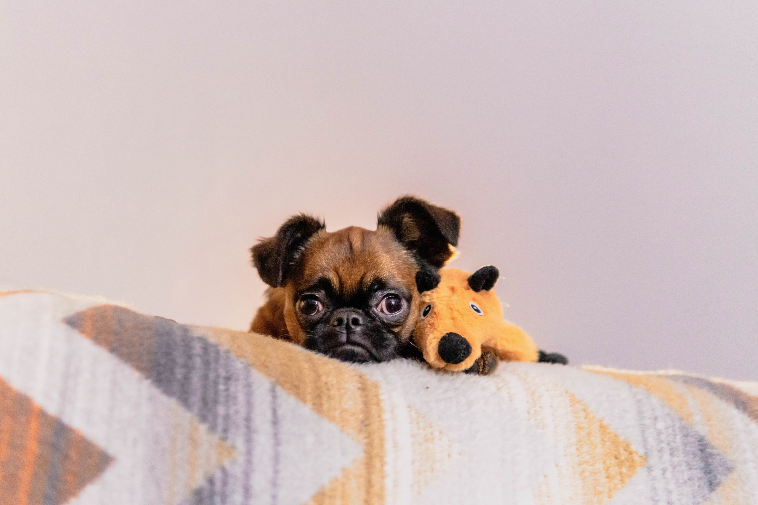 Надя и Ефим. Фотограф-анималист Ксения Воробьева, Москва