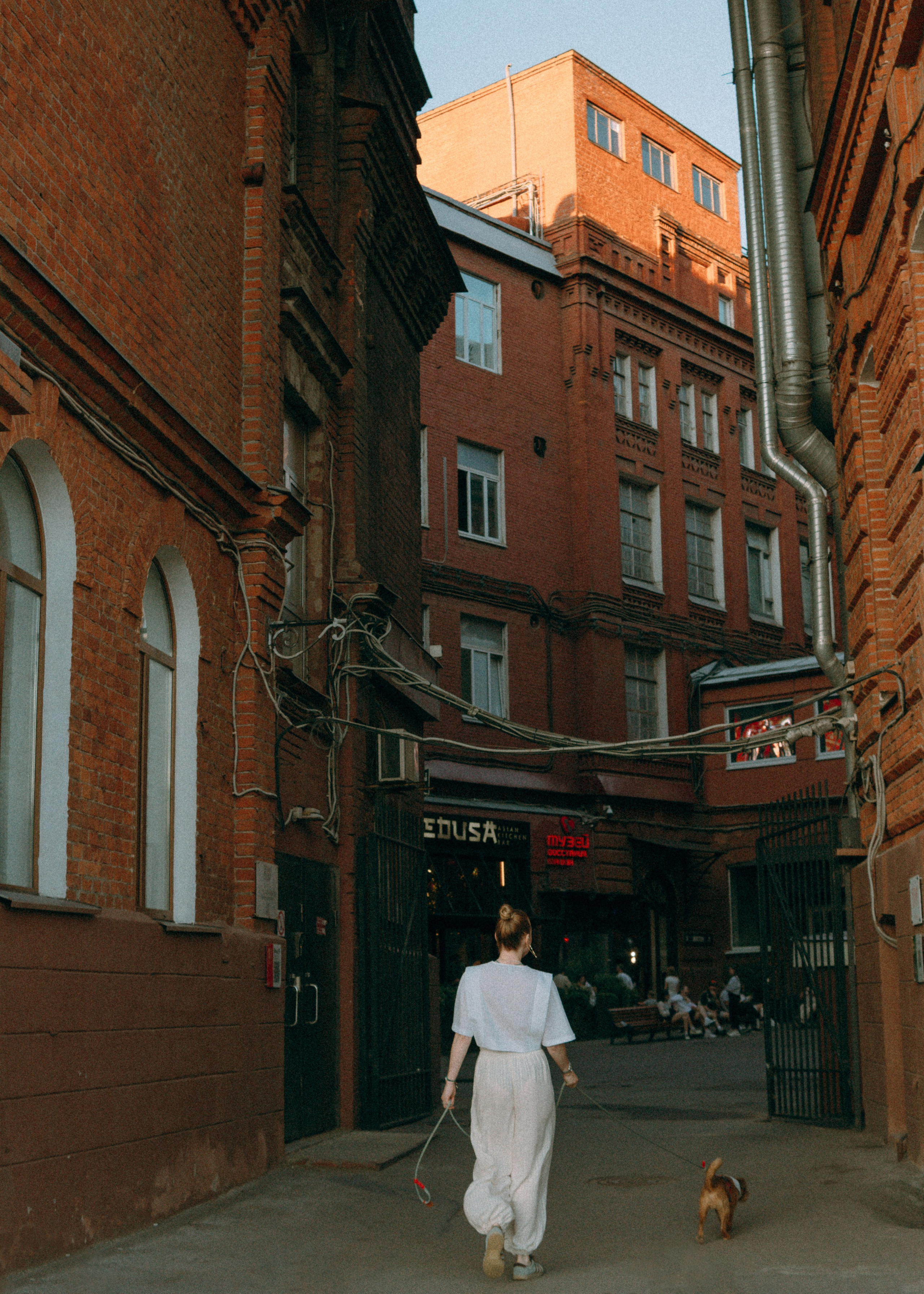 Лена и Альфи. Фотограф-анималист Ксения Воробьева, Москва