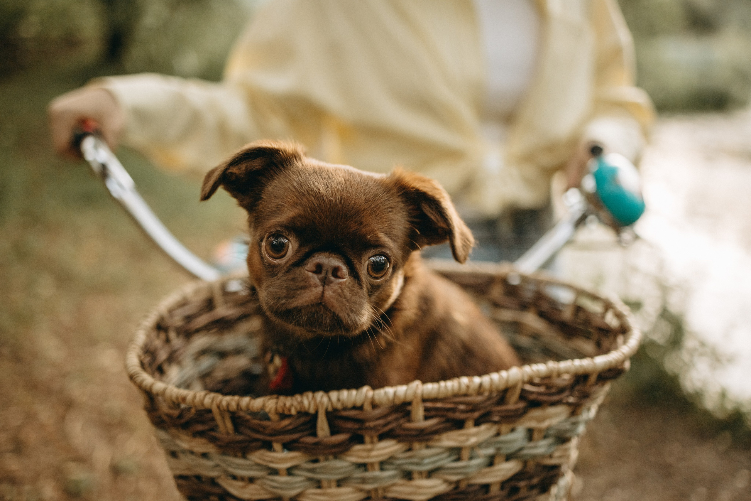 Екатерина и Лёня. Фотограф — Анималист | Санкт-Петербург