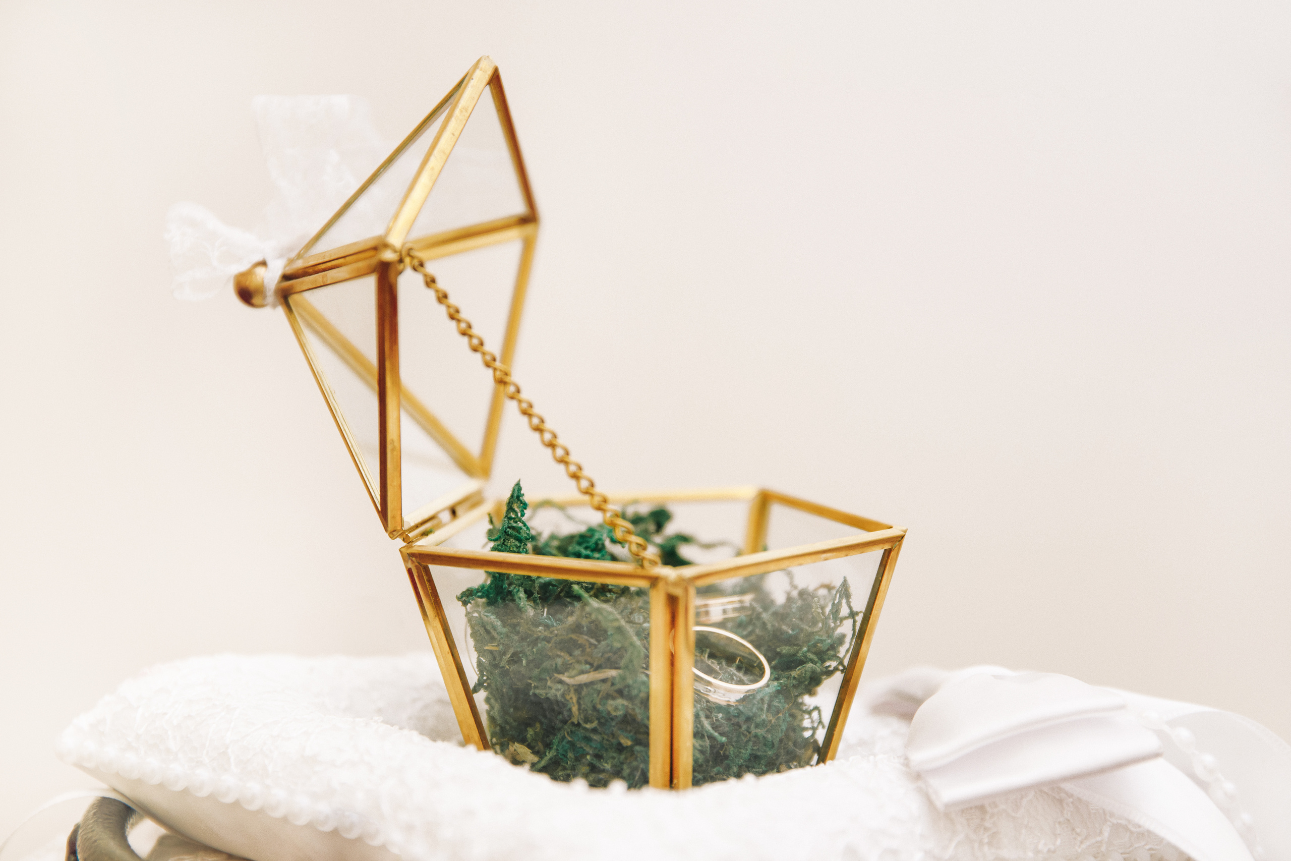 Алексей и Милана. Светлана Иванова - профессиональный фотограф