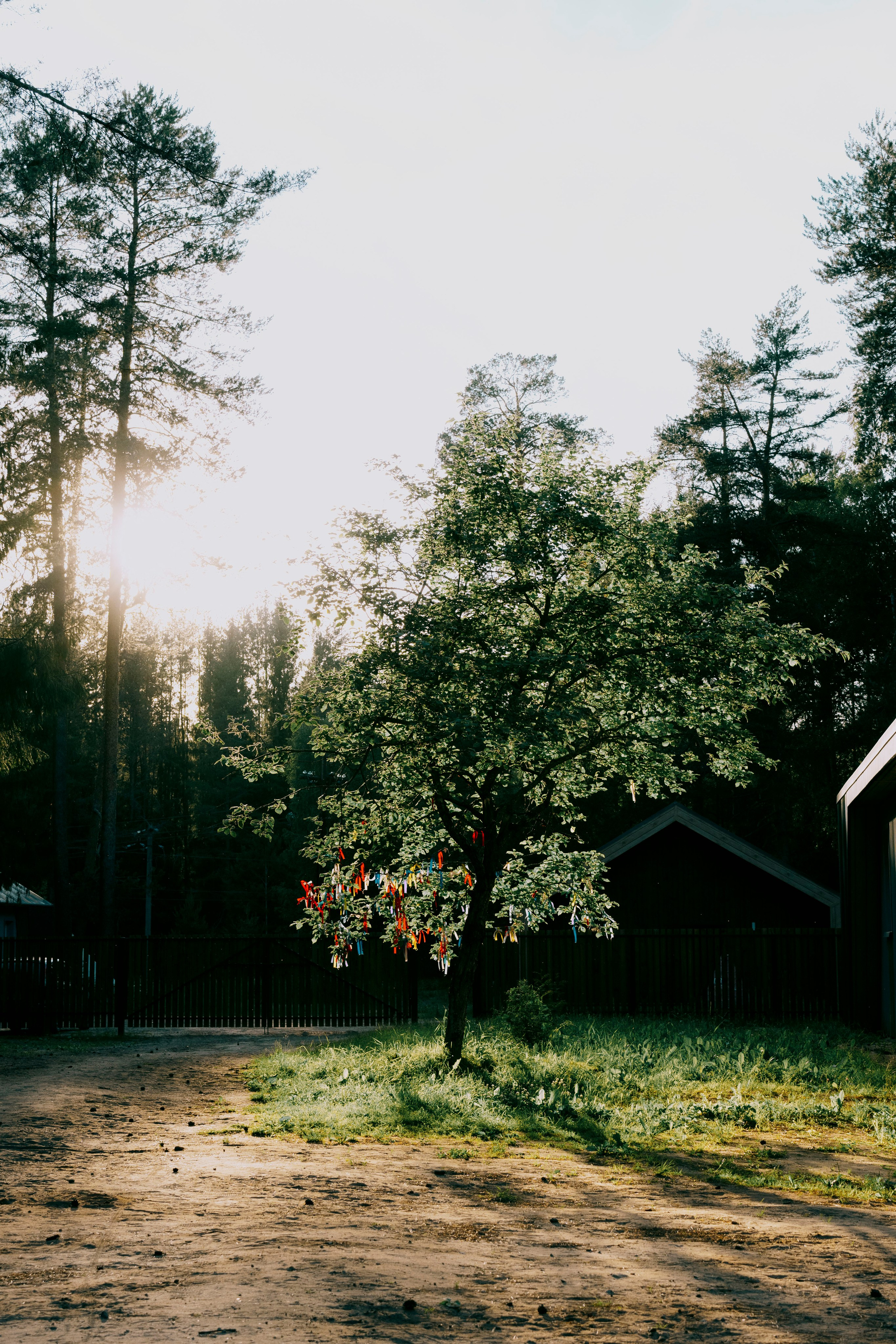 Capoeira Camp. Фотограф Киров Токарева Марина