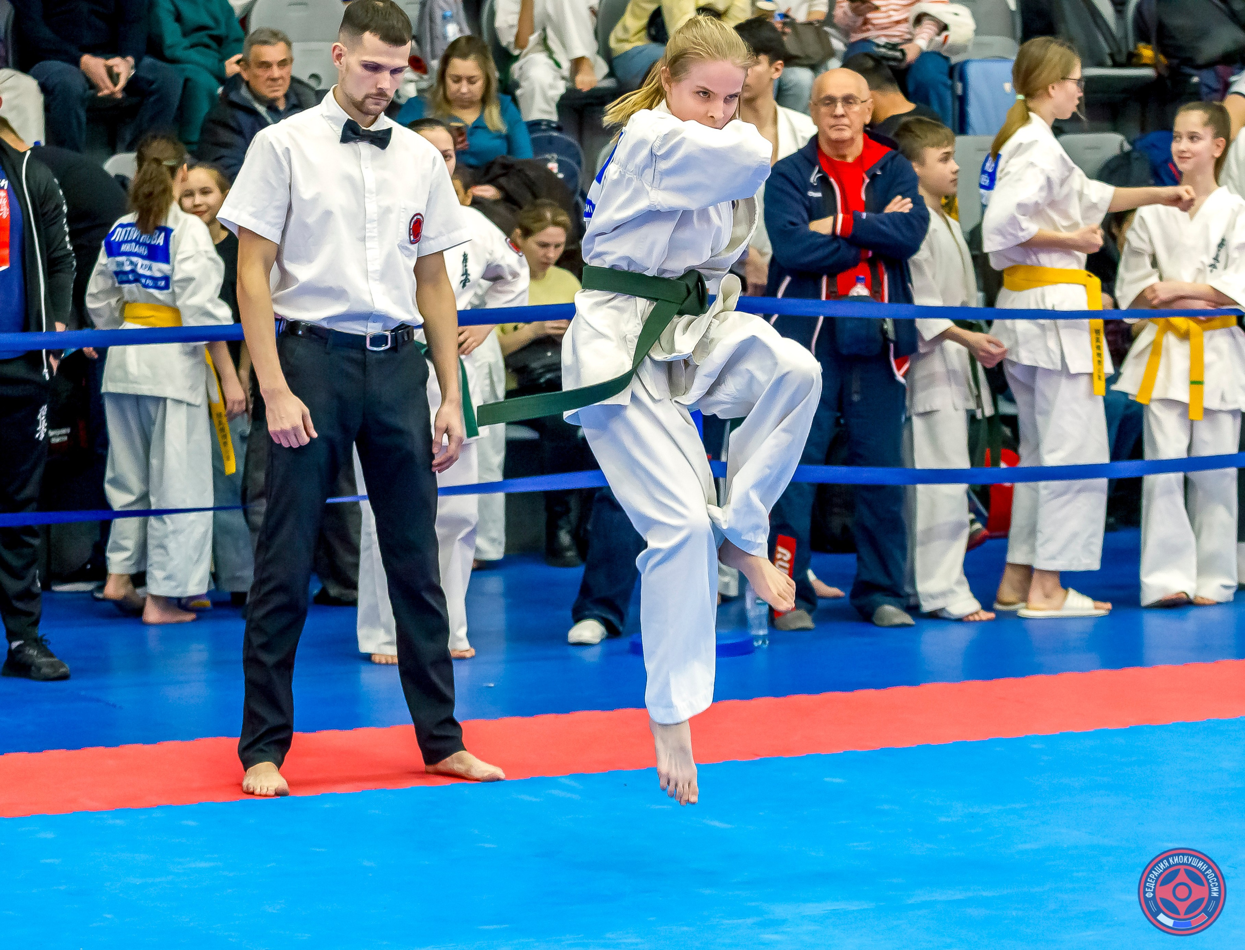 Международный турнир по киокушин «Открытый кубок Seiken». Репортажная съемка в Москве и области. Анималистика