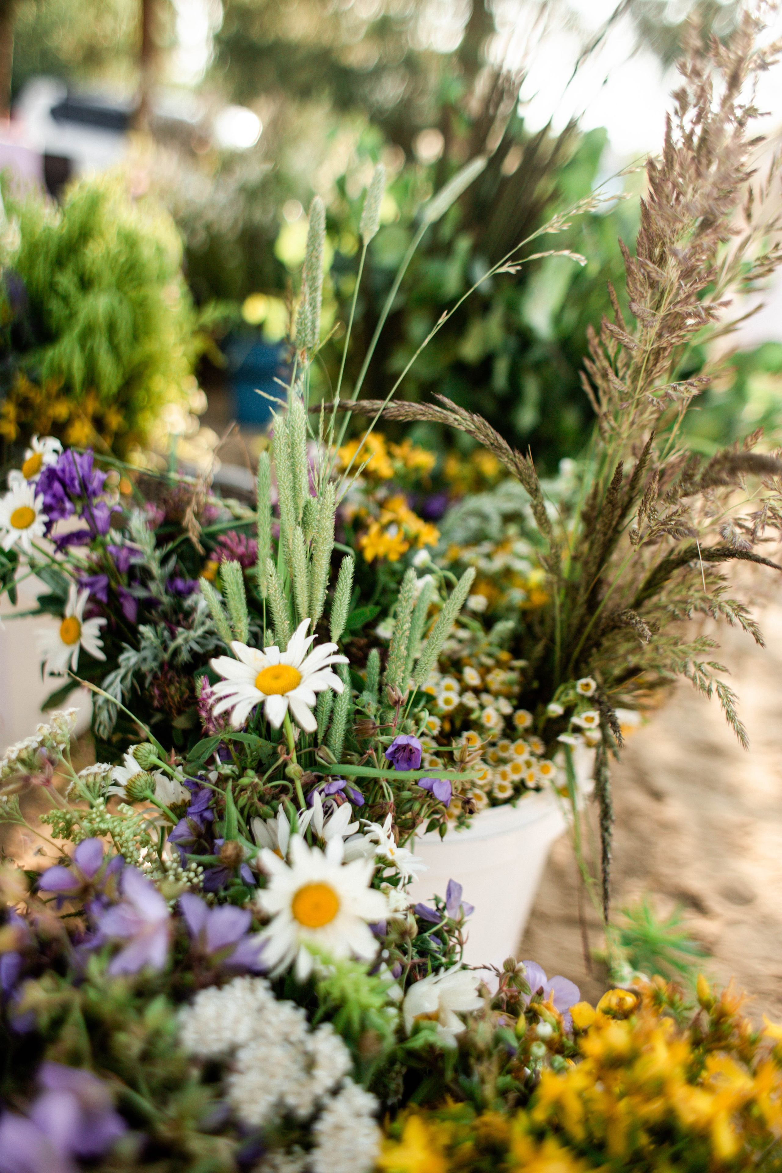 Ивана Купала Гребной канал. Фотограф в Нижнем Новгороде