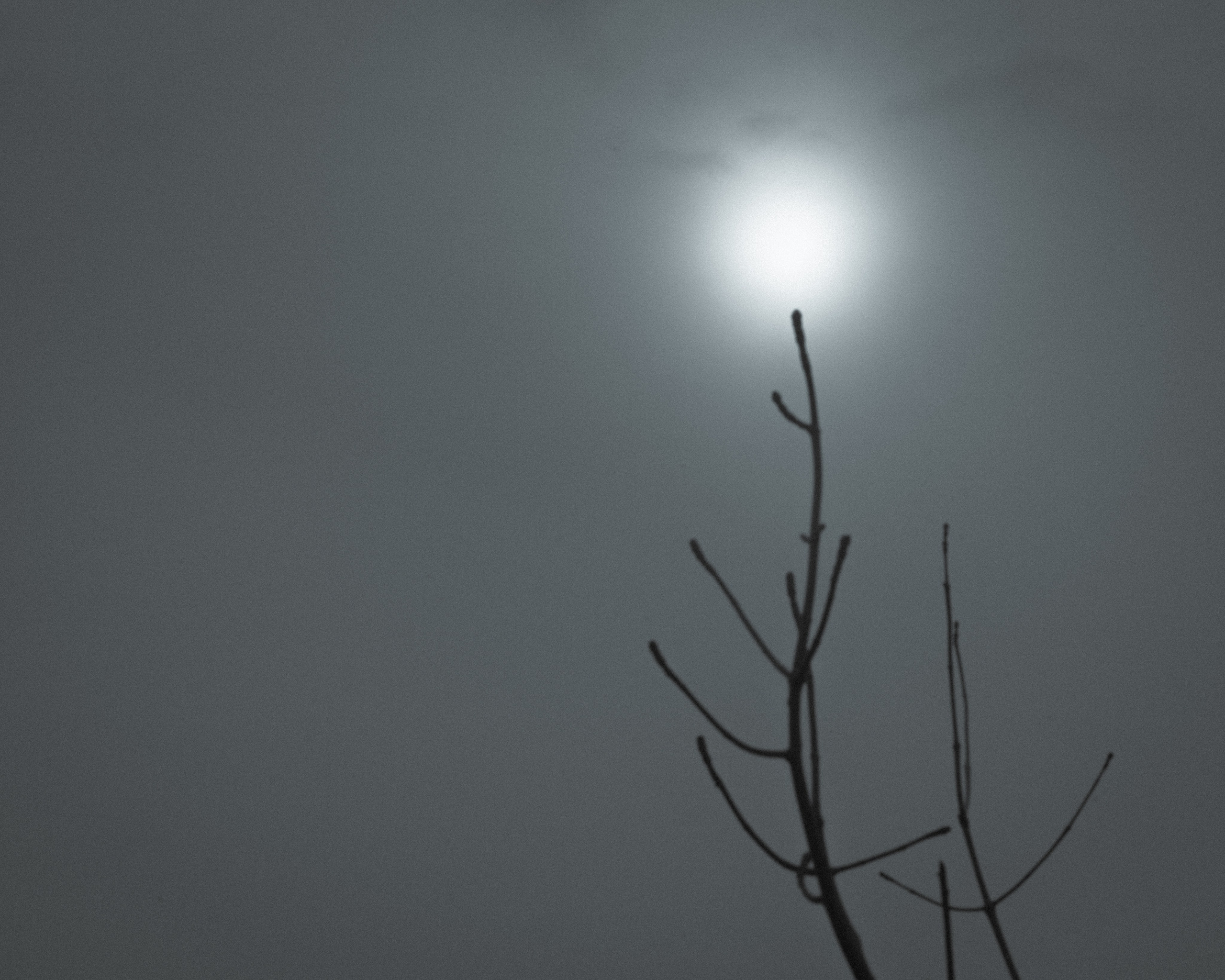 Silence. Главная