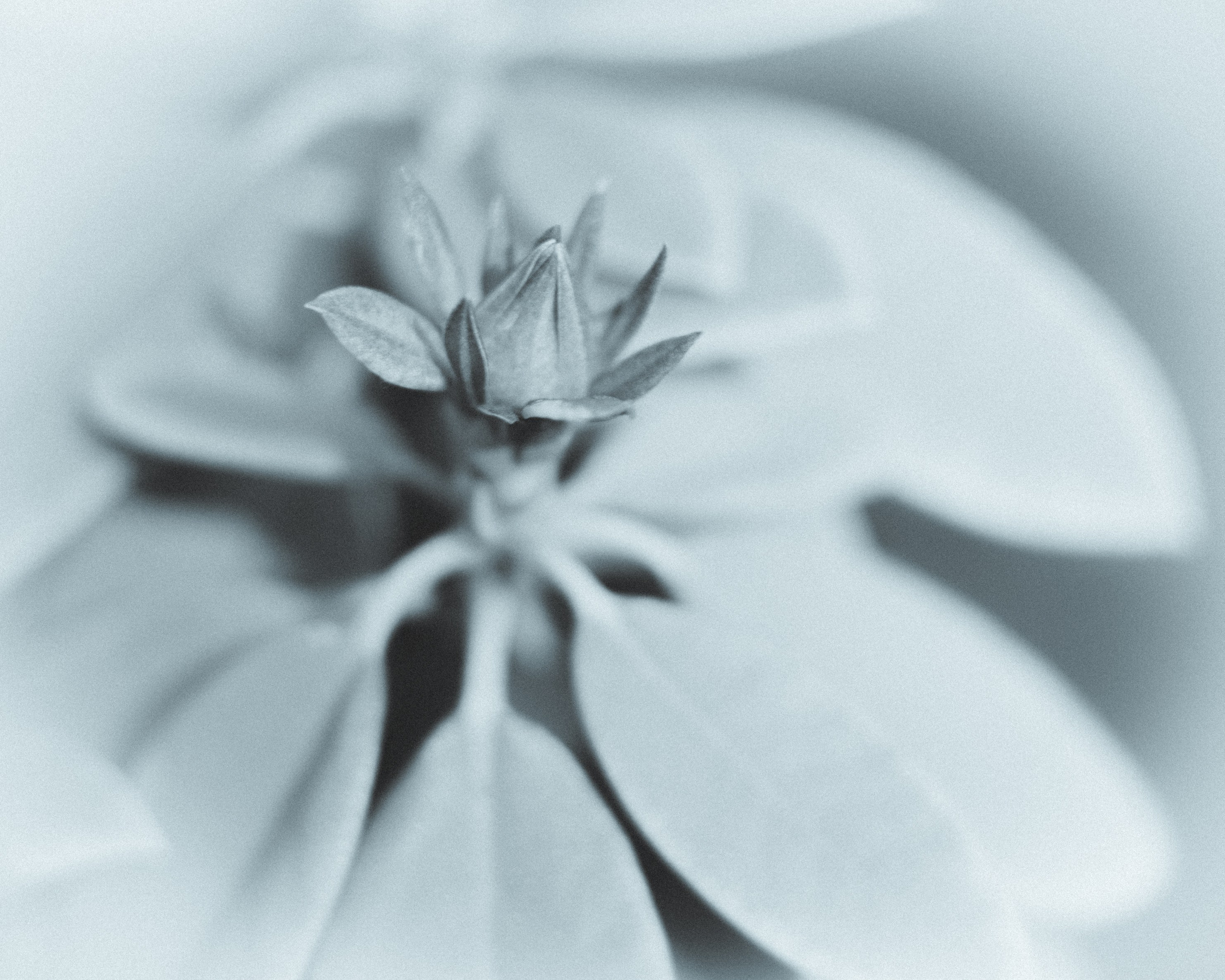 Silence. Главная