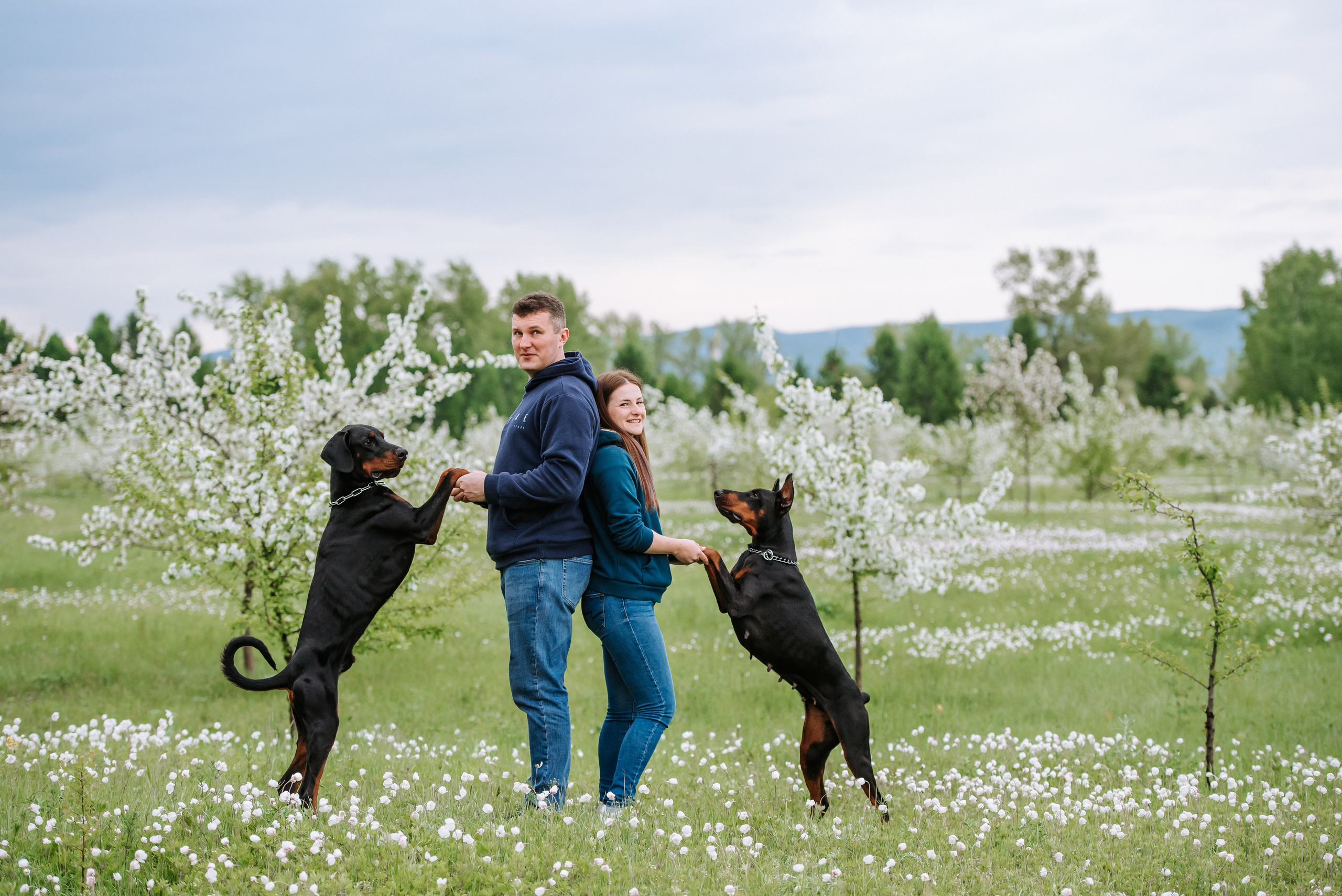 Цветение с доберманами. Фотограф Диана Оленина Красноярск / Братск