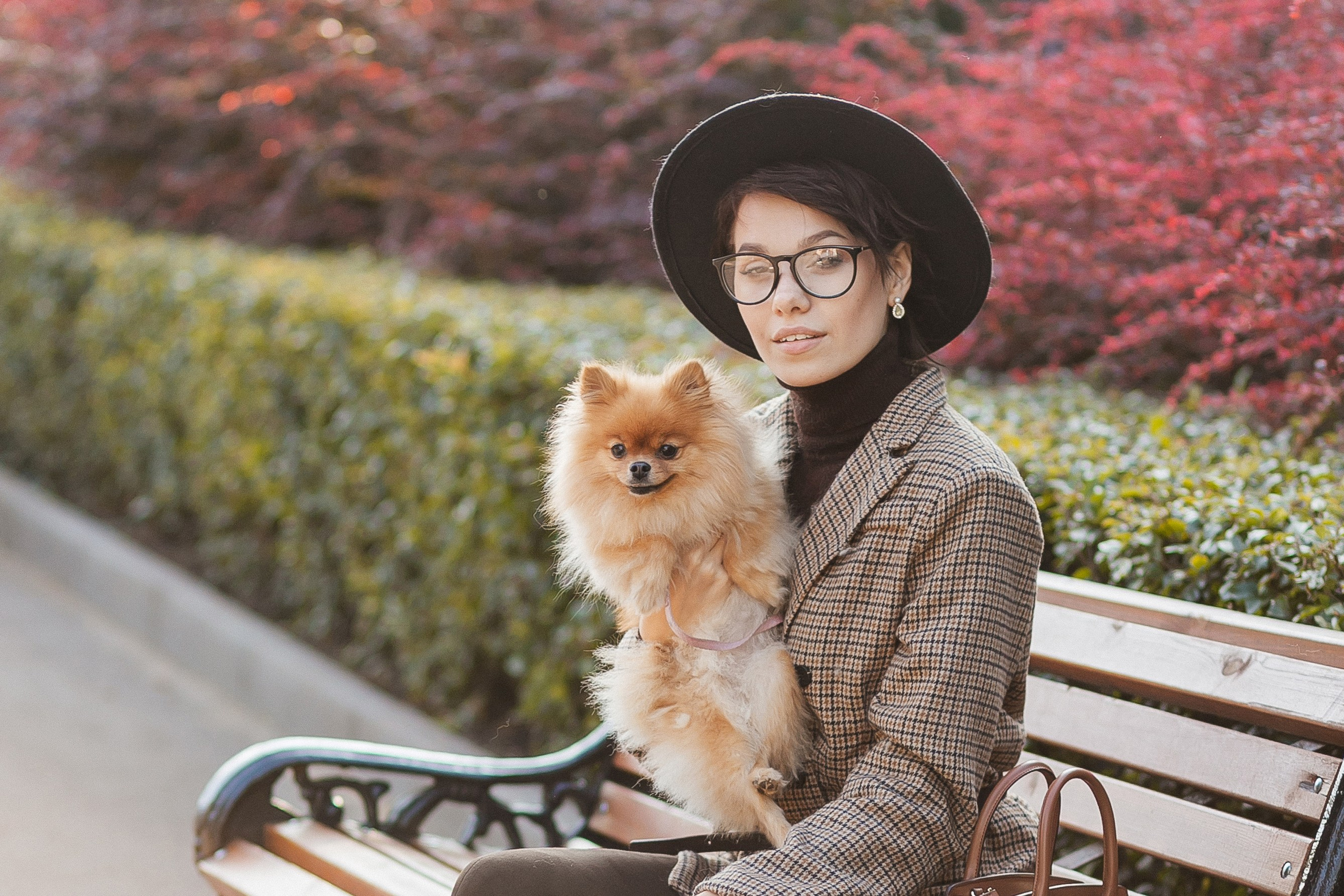 Осенние фотосессии🍁. Фотограф Москва, Балашиха, МО. Свадьбы, репортажи, контент, портреты