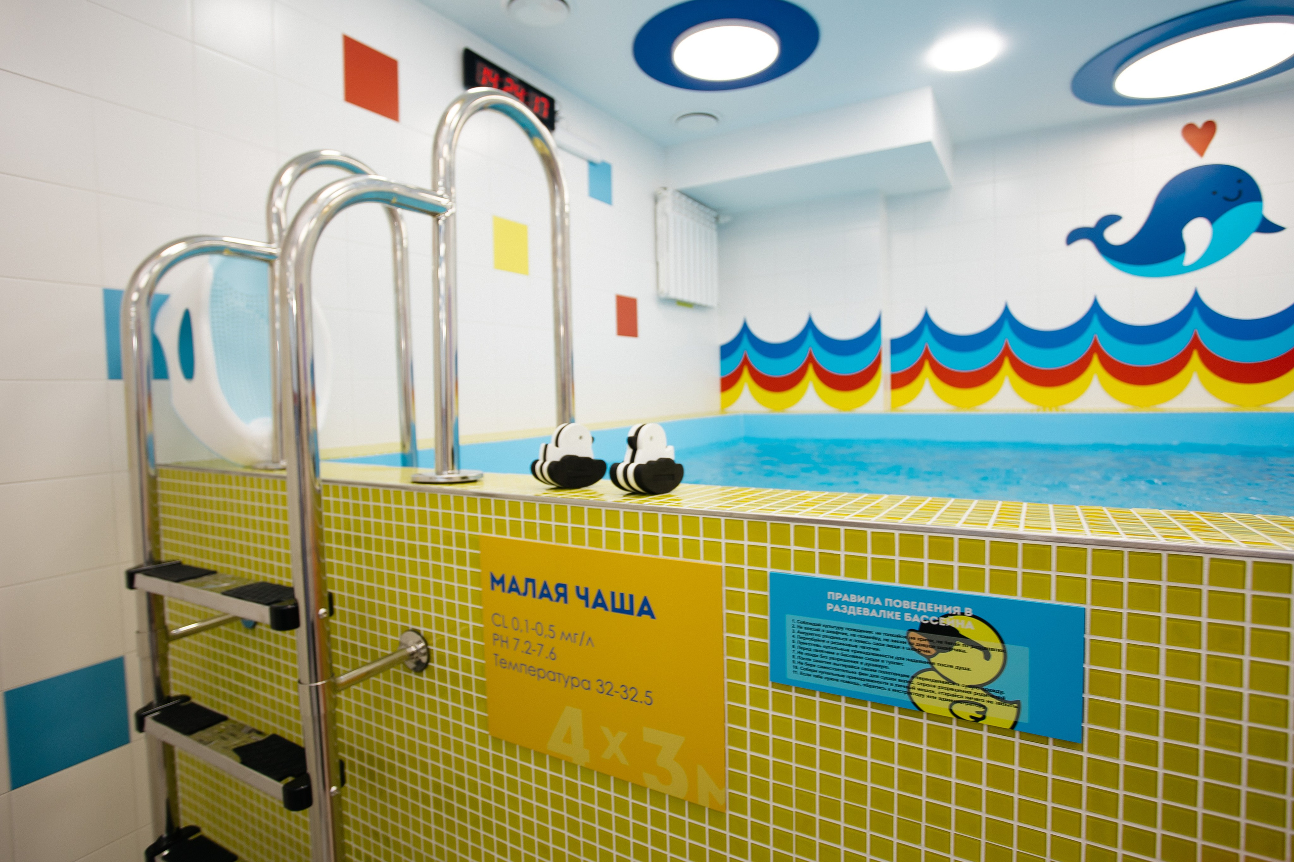 Открытие бассейна. Фотограф в Иркутске