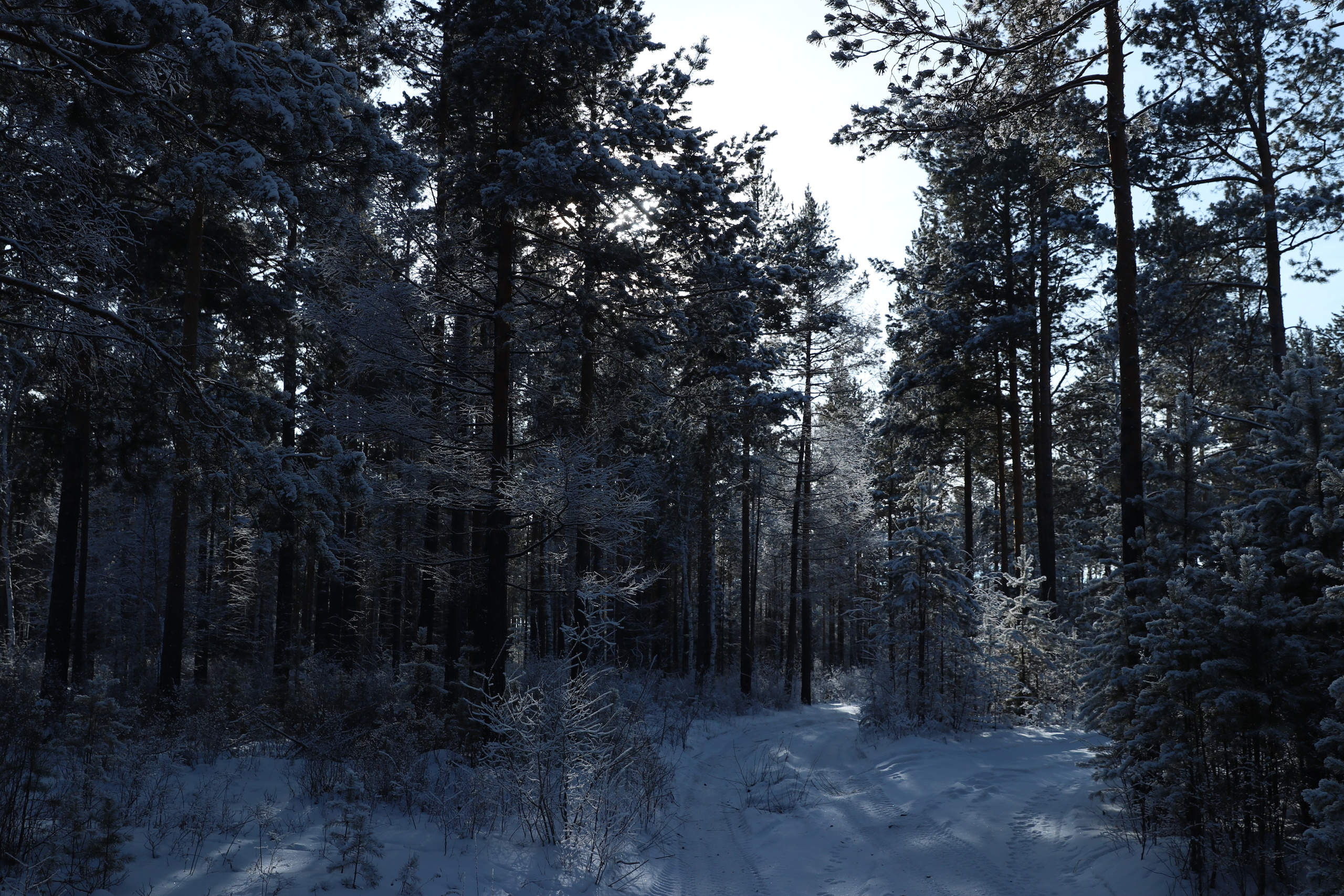 Аршан. Январь 2024. Путешественник-фотограф из Санкт-Петербурга Татьяна Свистулина