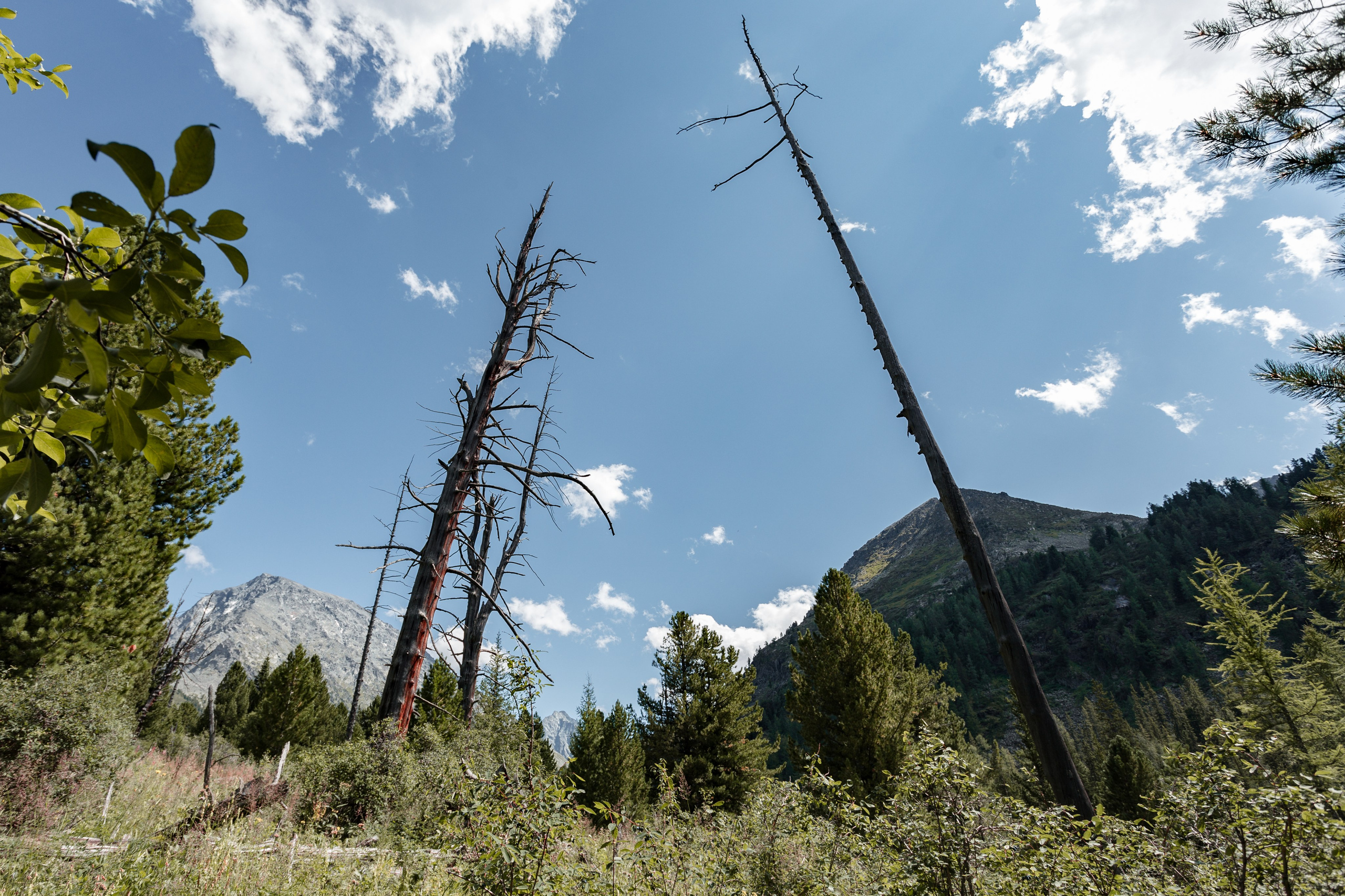 Катунский заповедник, Республика Алтай. Репортажный фотограф в Крыму Ксения Гасица