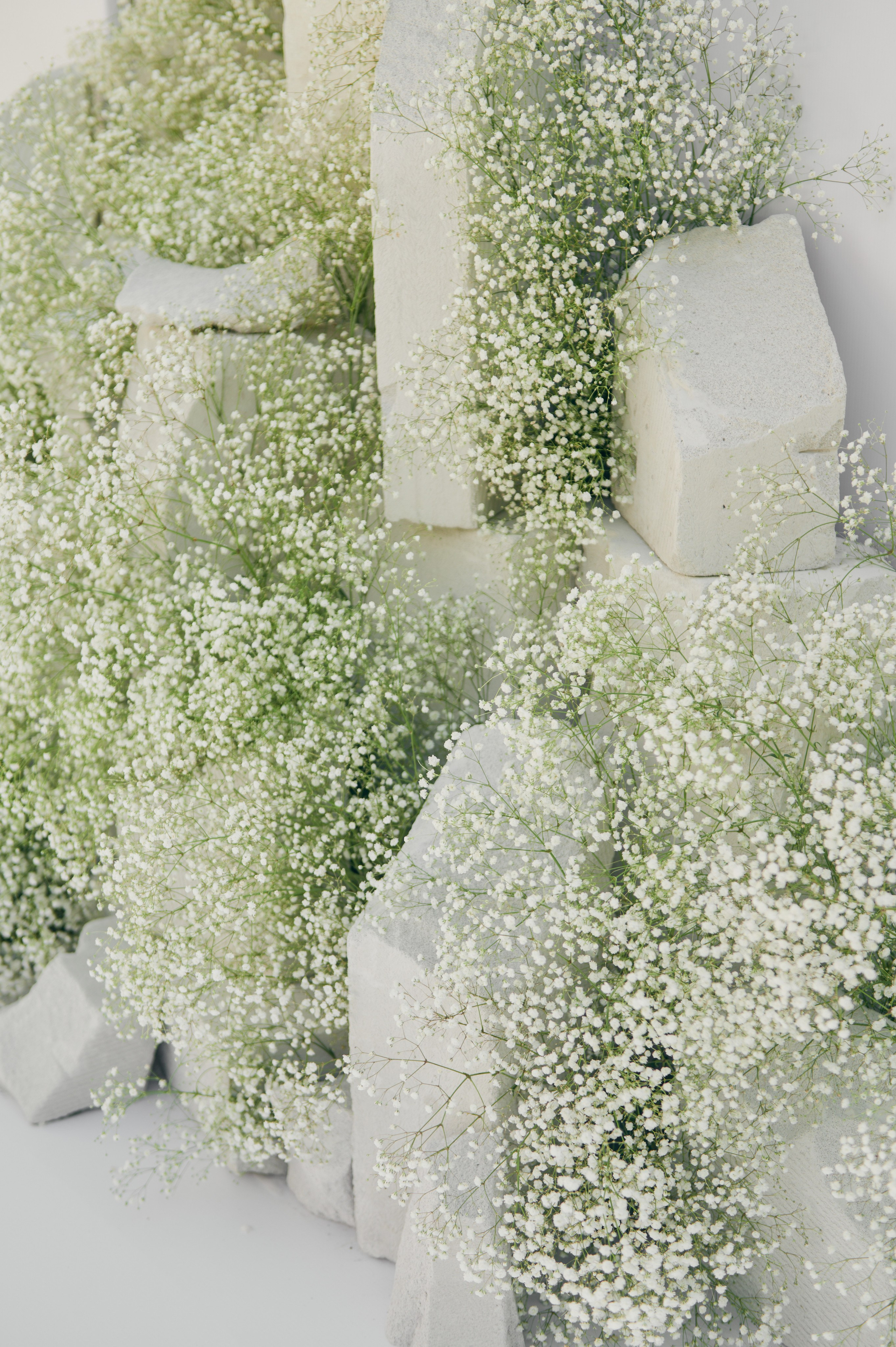 АЛЕКСАНДР И СОФИЯ 26|04|25. Свадебное агентство Ива-ивент