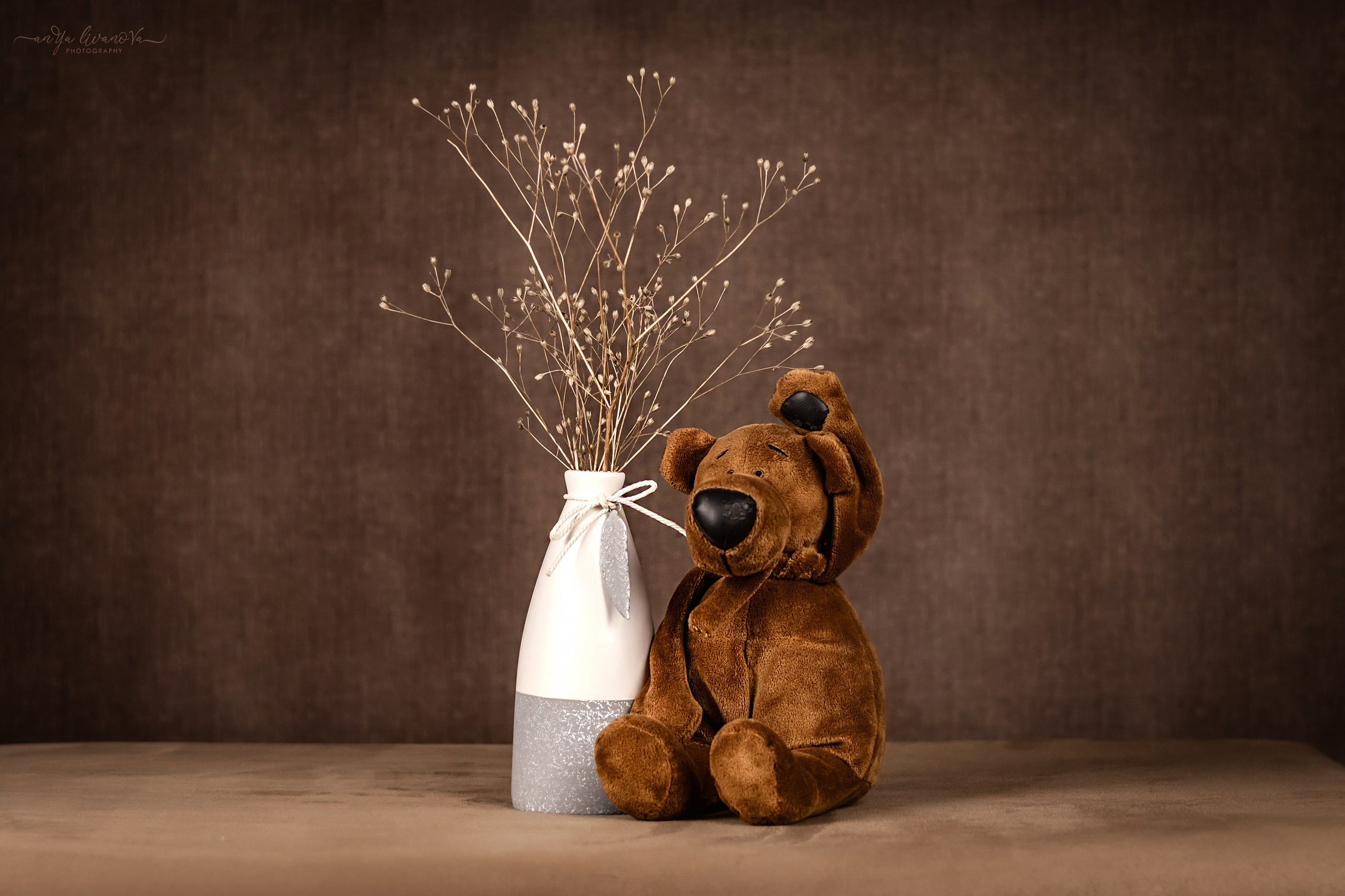Коричневый фон. Фотограф анималист Аня Ливанова | Рыбинск