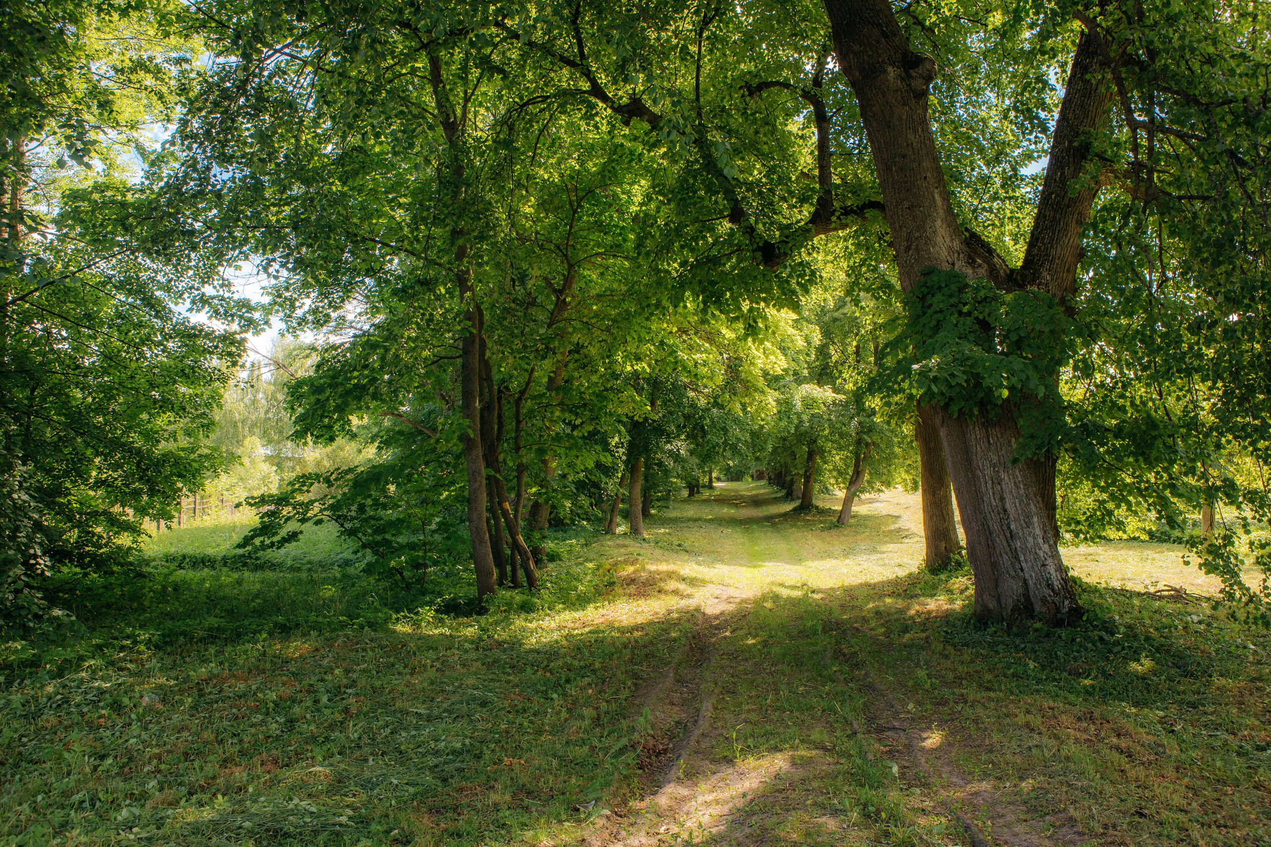 Музей-усадьба «Никольское-Вяземское». Профессиональный фотограф в Мценске и Орловской области