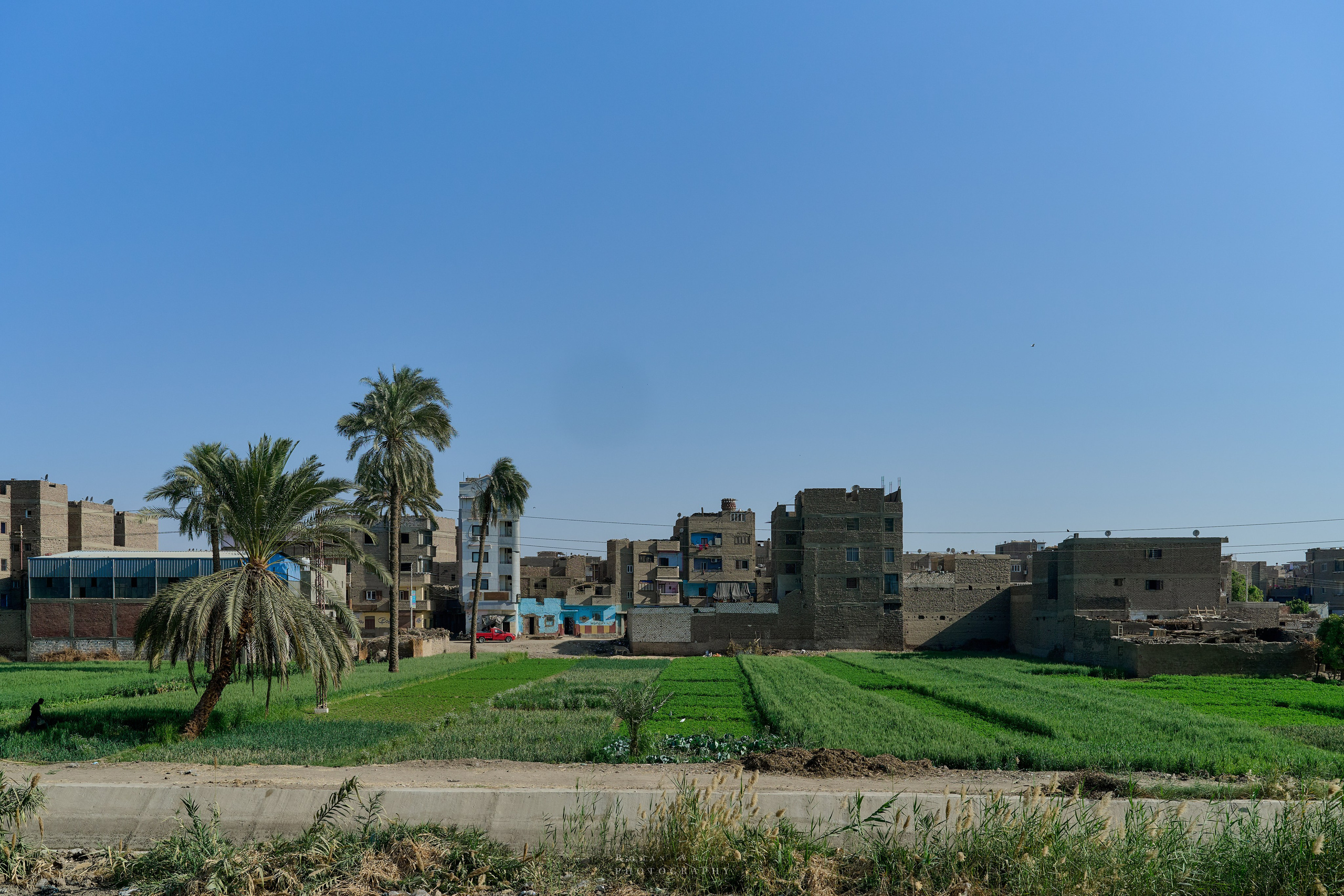 Луксор. Февраль 2025. Фотограф Роман Адлер