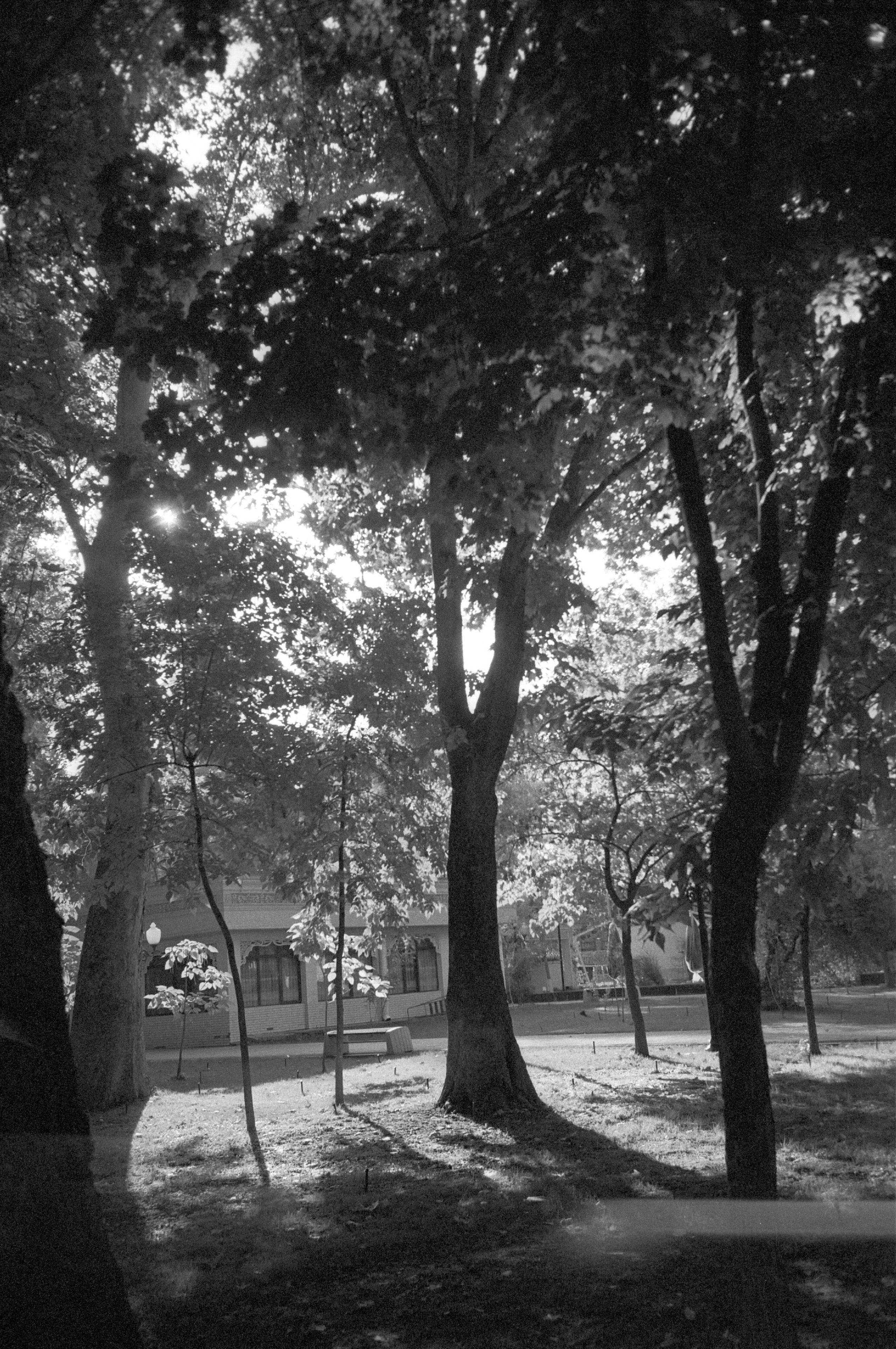 Tashkent 2022-2023. Dima Voronetsky