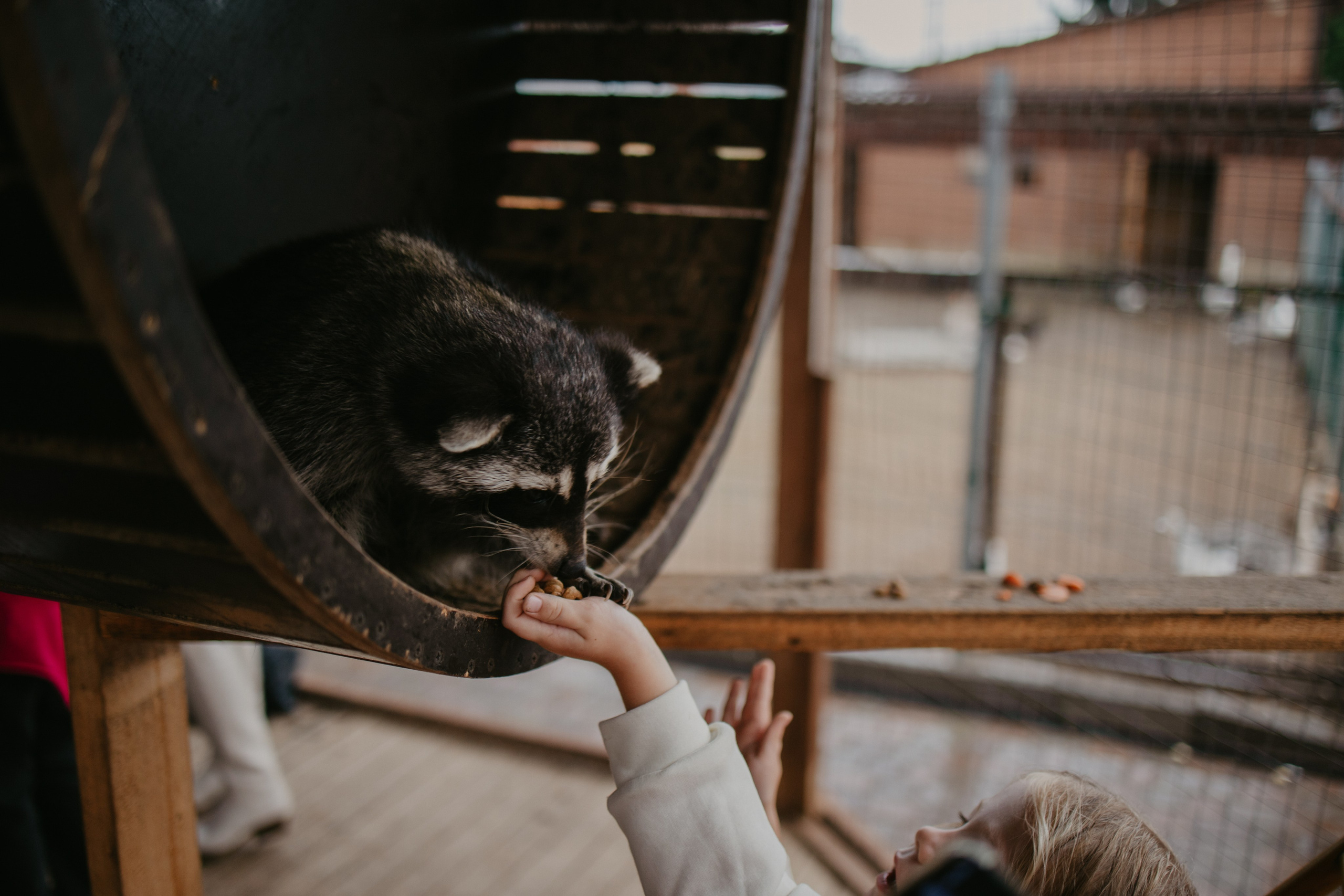 Лера 2 годика. Репортажный и портретный фотограф в Санктпетербурге. Видиосъемка мероприятий в Санкт-Петербурге