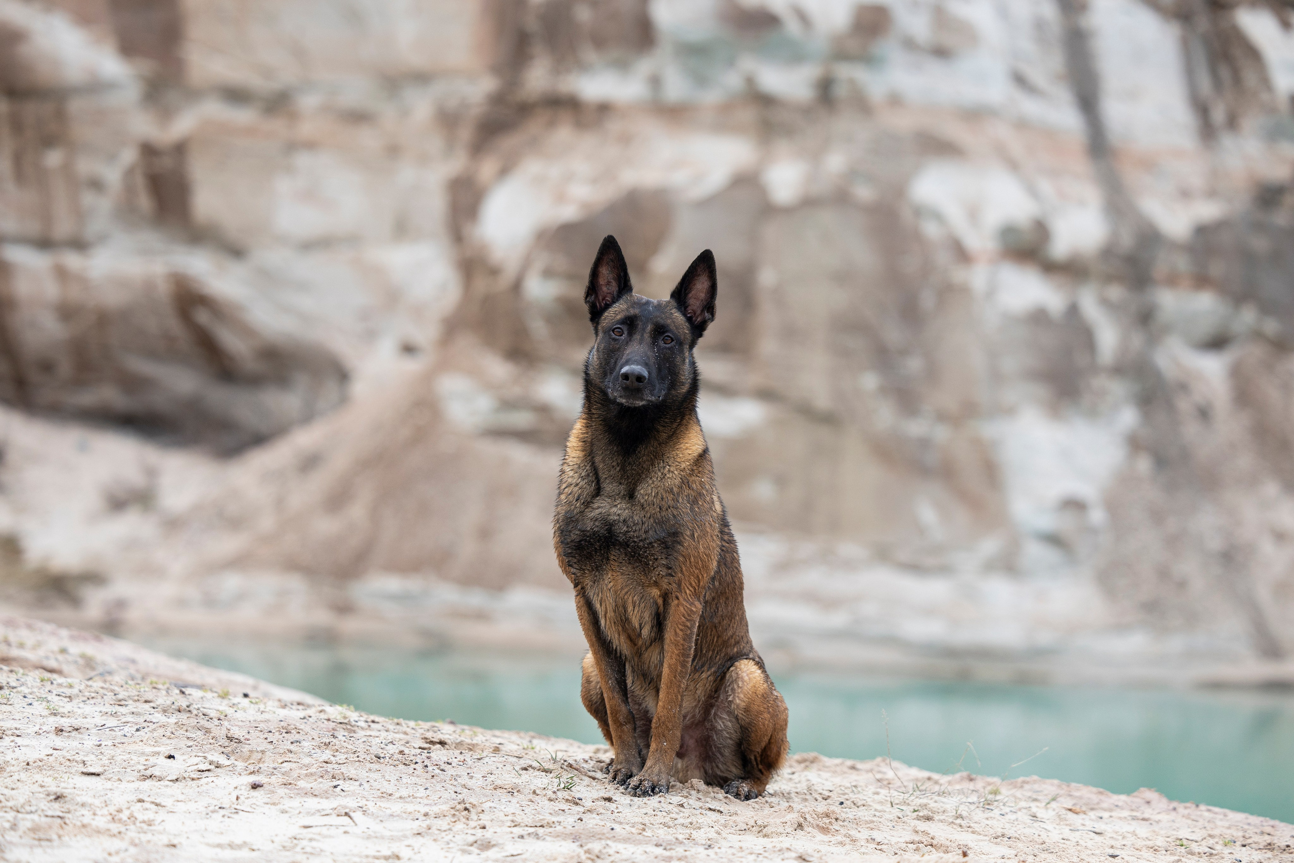 Лужские Мальдивы. Фотограф-анималист Анна Маринич