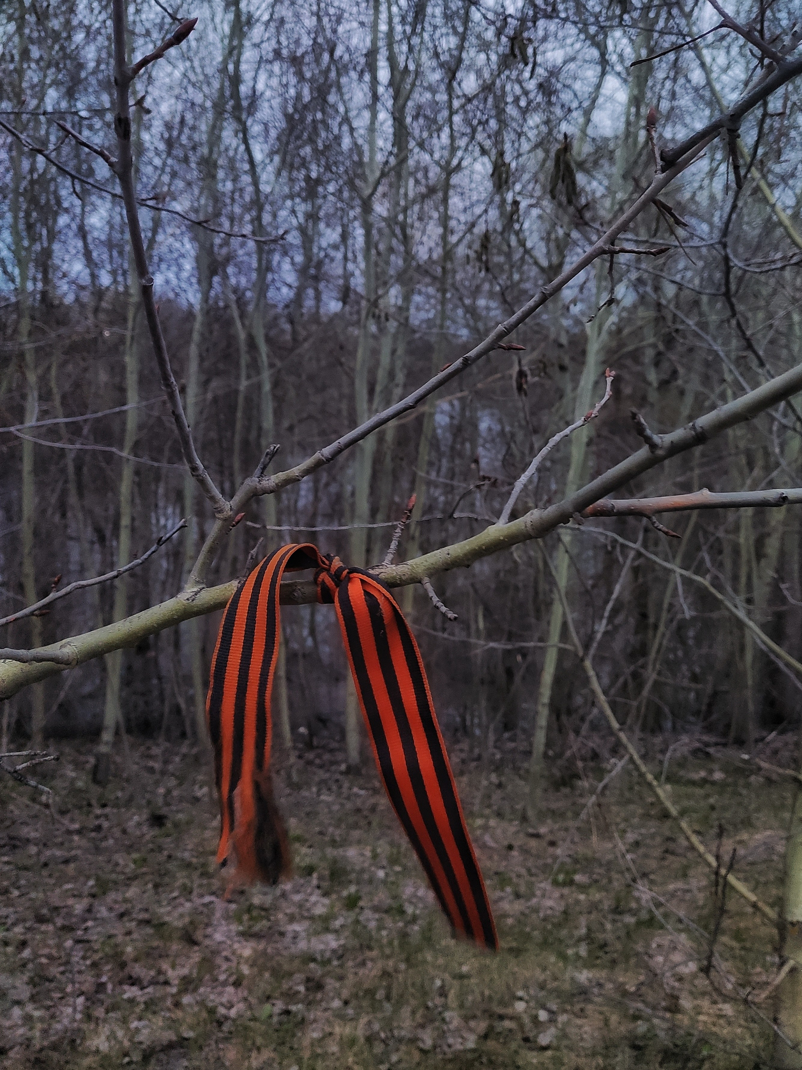 Установки и сценарии. Контент-фотограф Рязань/Москва/Санкт-Петербург/Сочи Елена Сазонтова