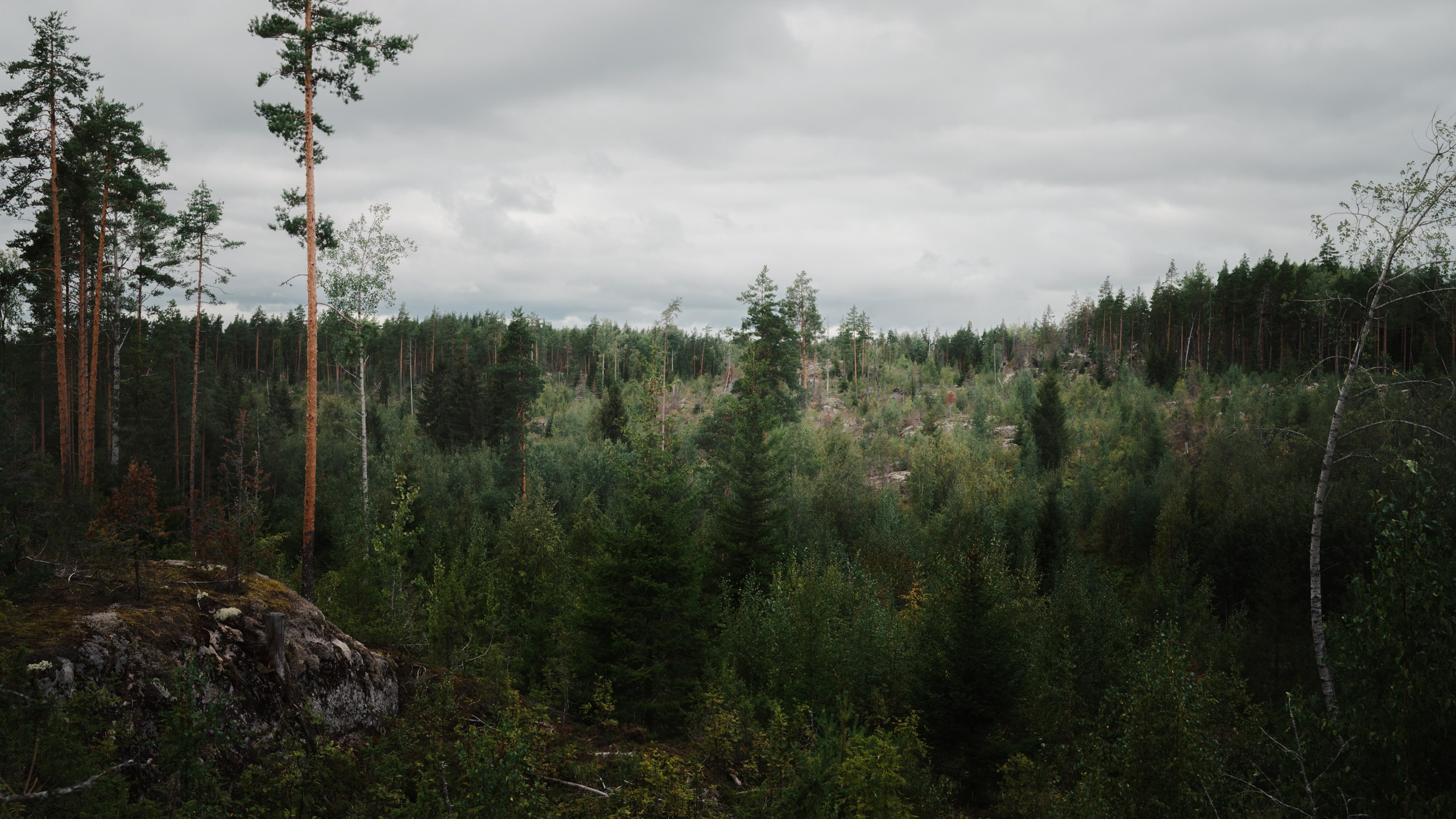 Карелия. Komonev