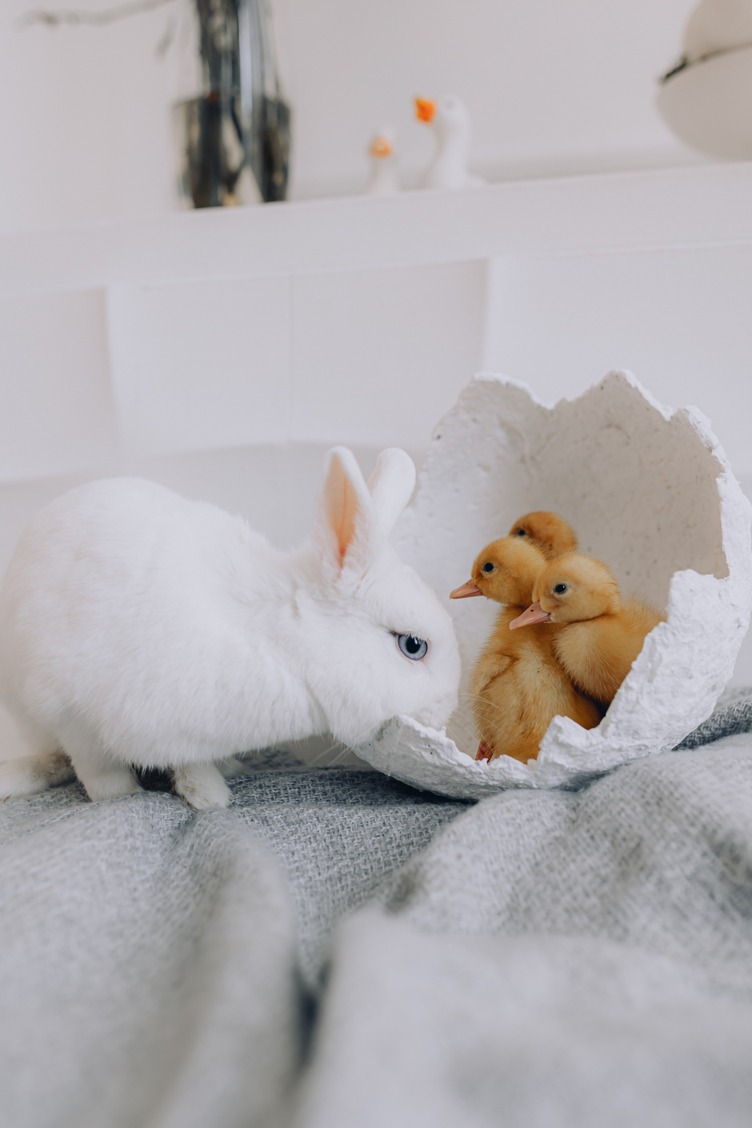 ETO Studio — фотостудия в Минске. Понравилась студия? Напишите — организую съёмку именно здесь. Фотограф в Минске Людмила Дутко