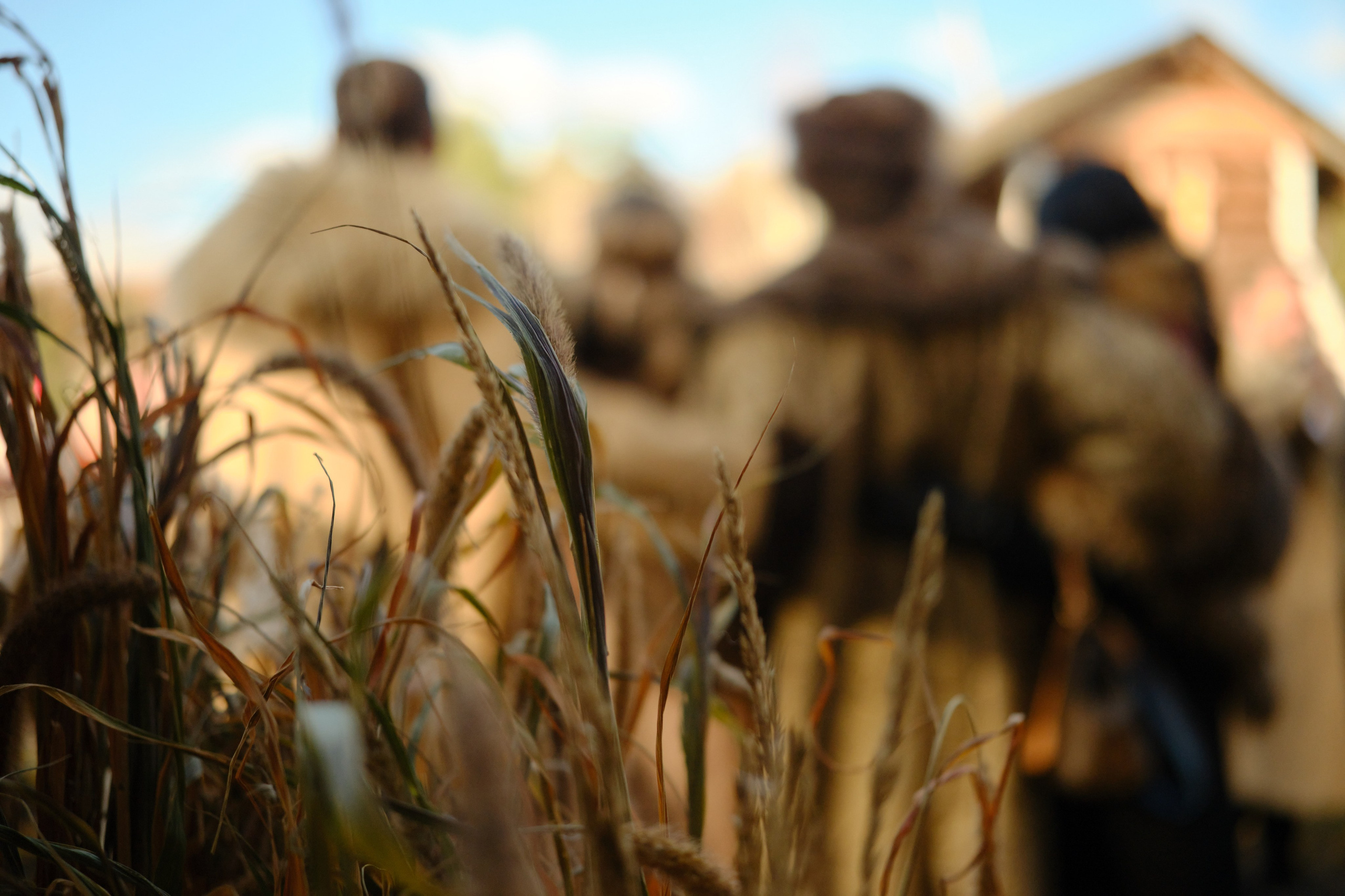 Андрей и Ольга. Фотограф Елена Маринина Москва