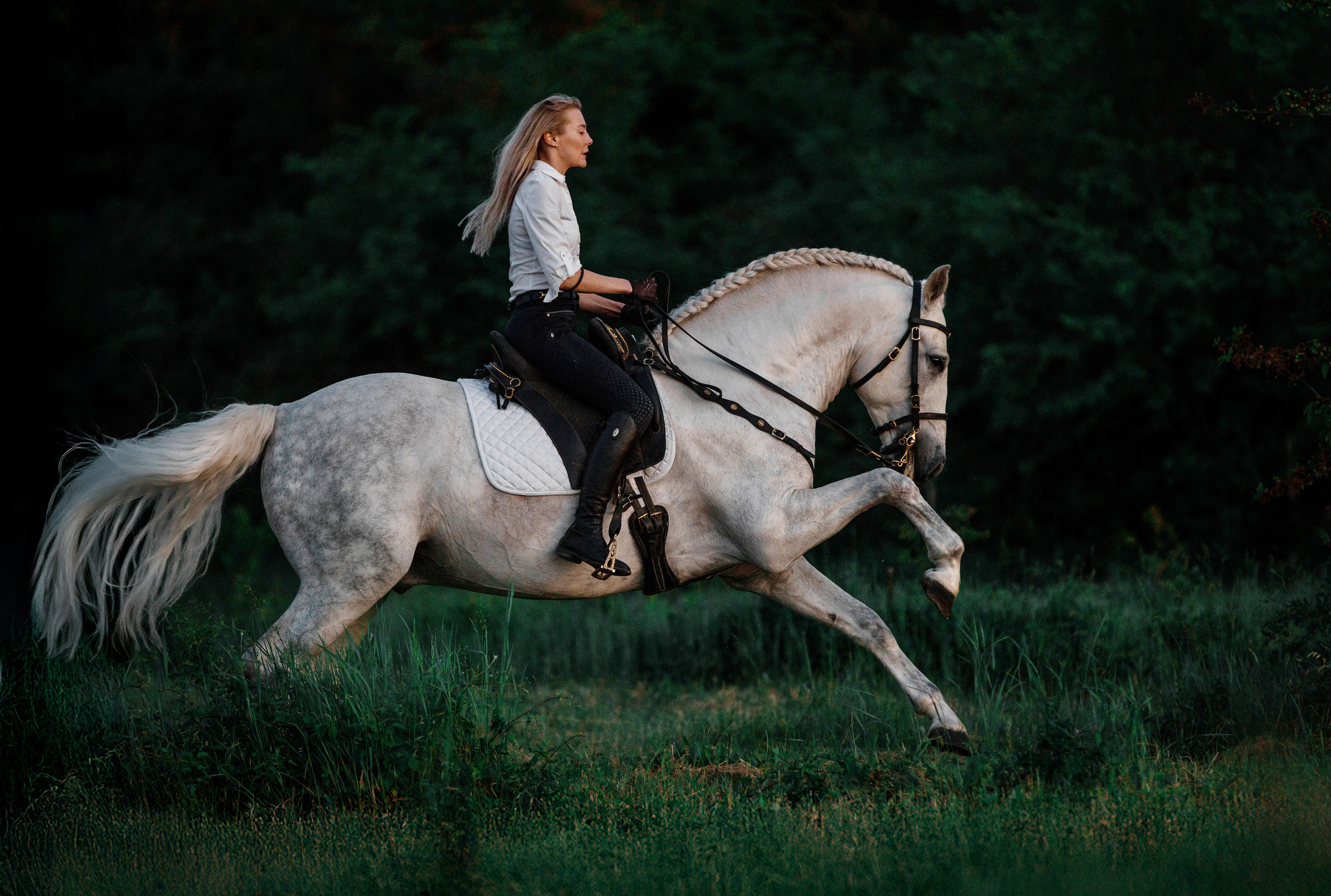 Натали и Цезарь. Фотограф-анималист Ксендзова Кристина