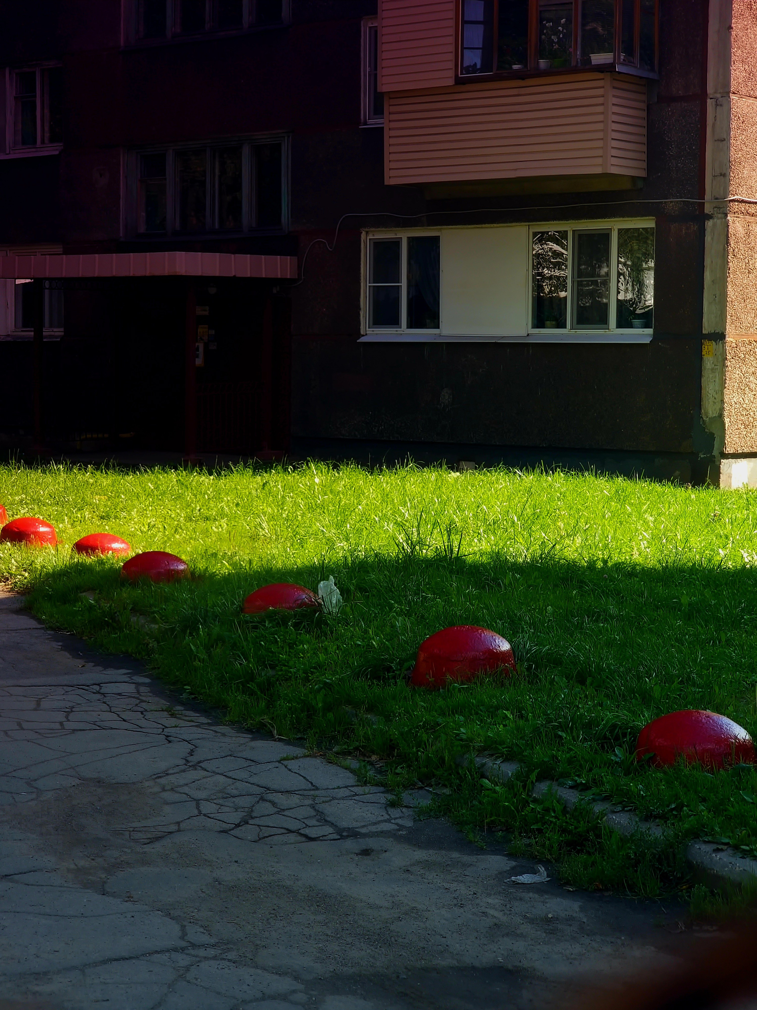 Август 2025. Den Mirov — Фотограф, Музыкант