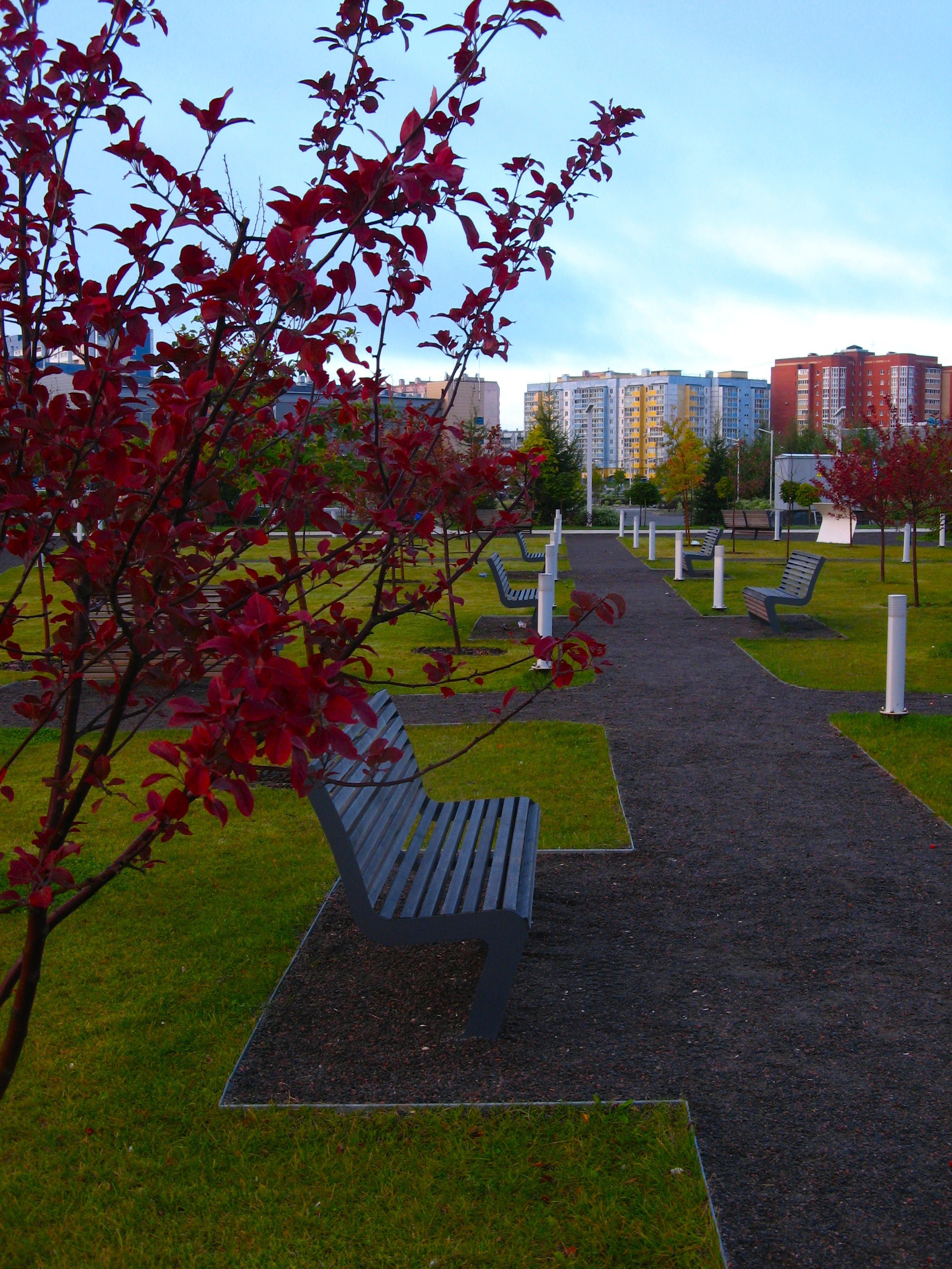 Август 2025. Den Mirov — Фотограф, Музыкант