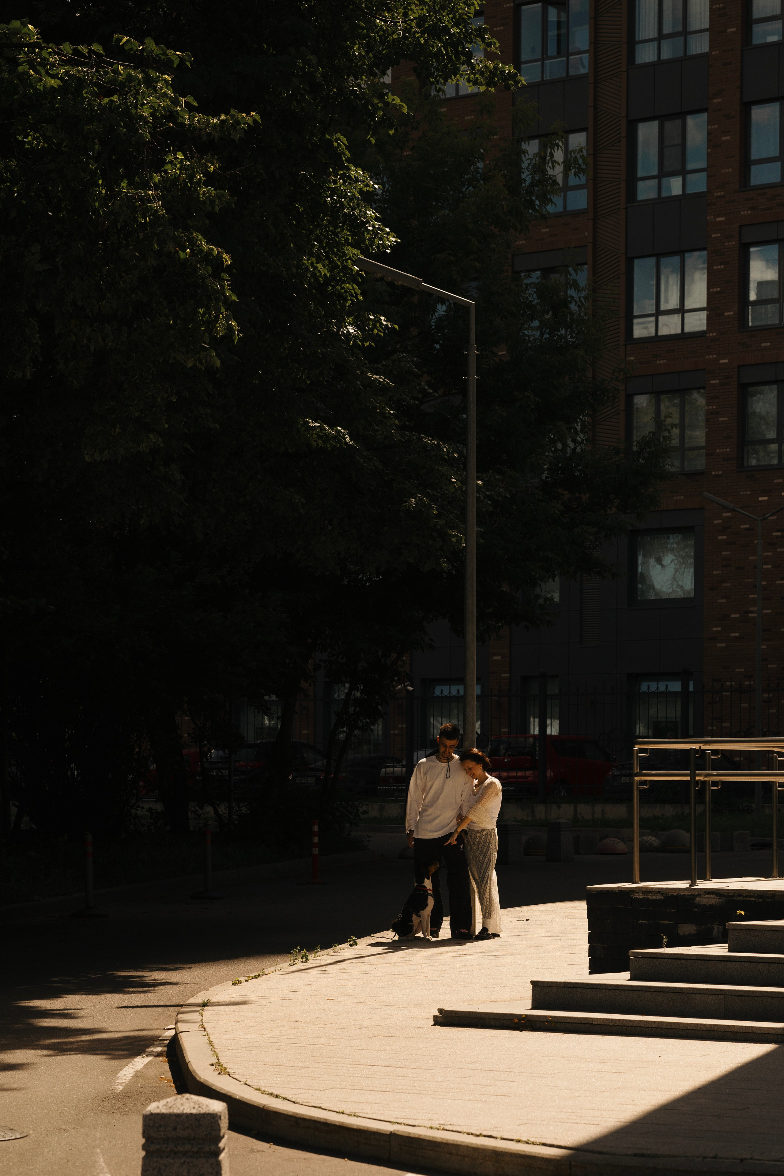 Златан. Фотограф- анималист Александра Матвеева