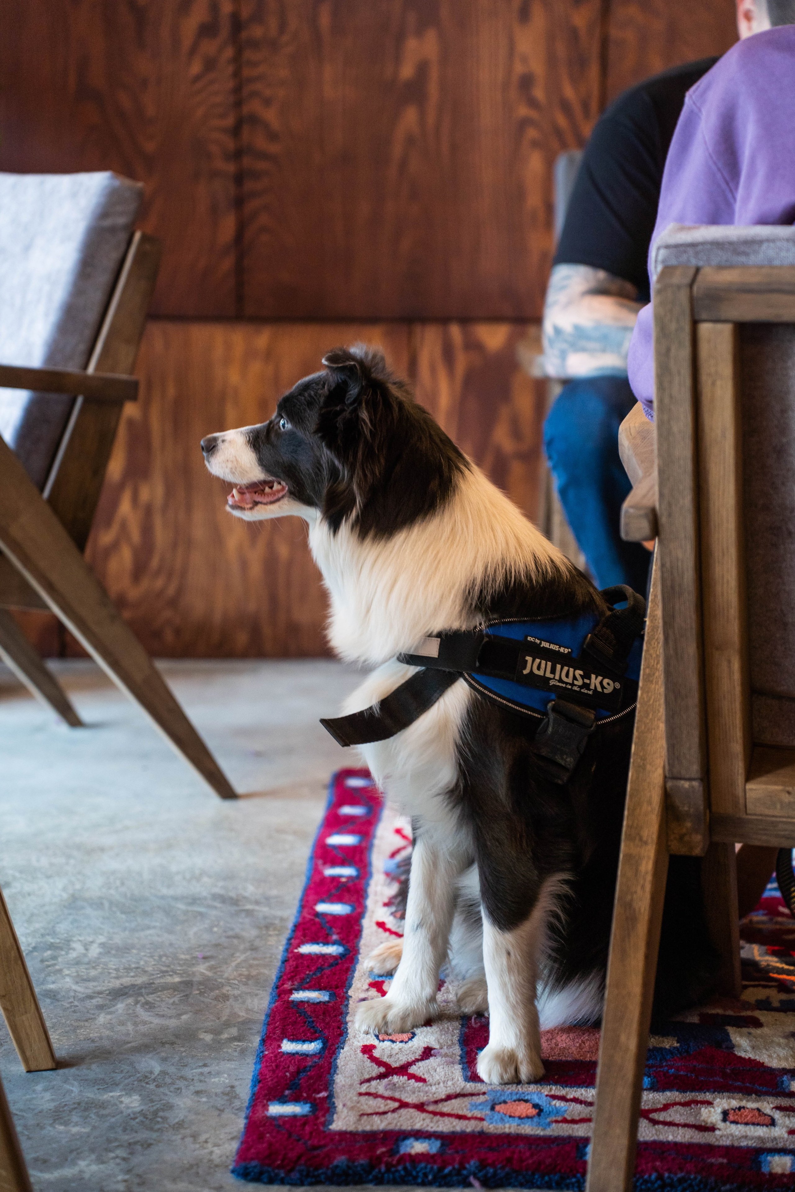 SURF COFFEE| DAY. Фотограф Абакумова Анастасия