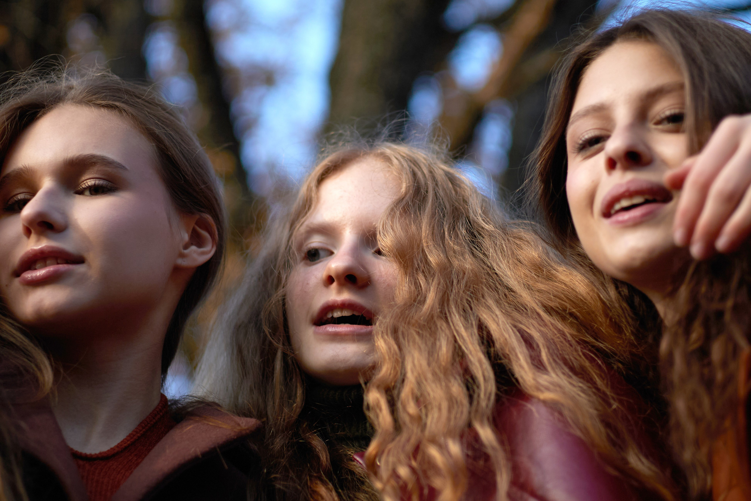 Золотая осень. Фотограф Рябухина Ирина. Г.Краснодар