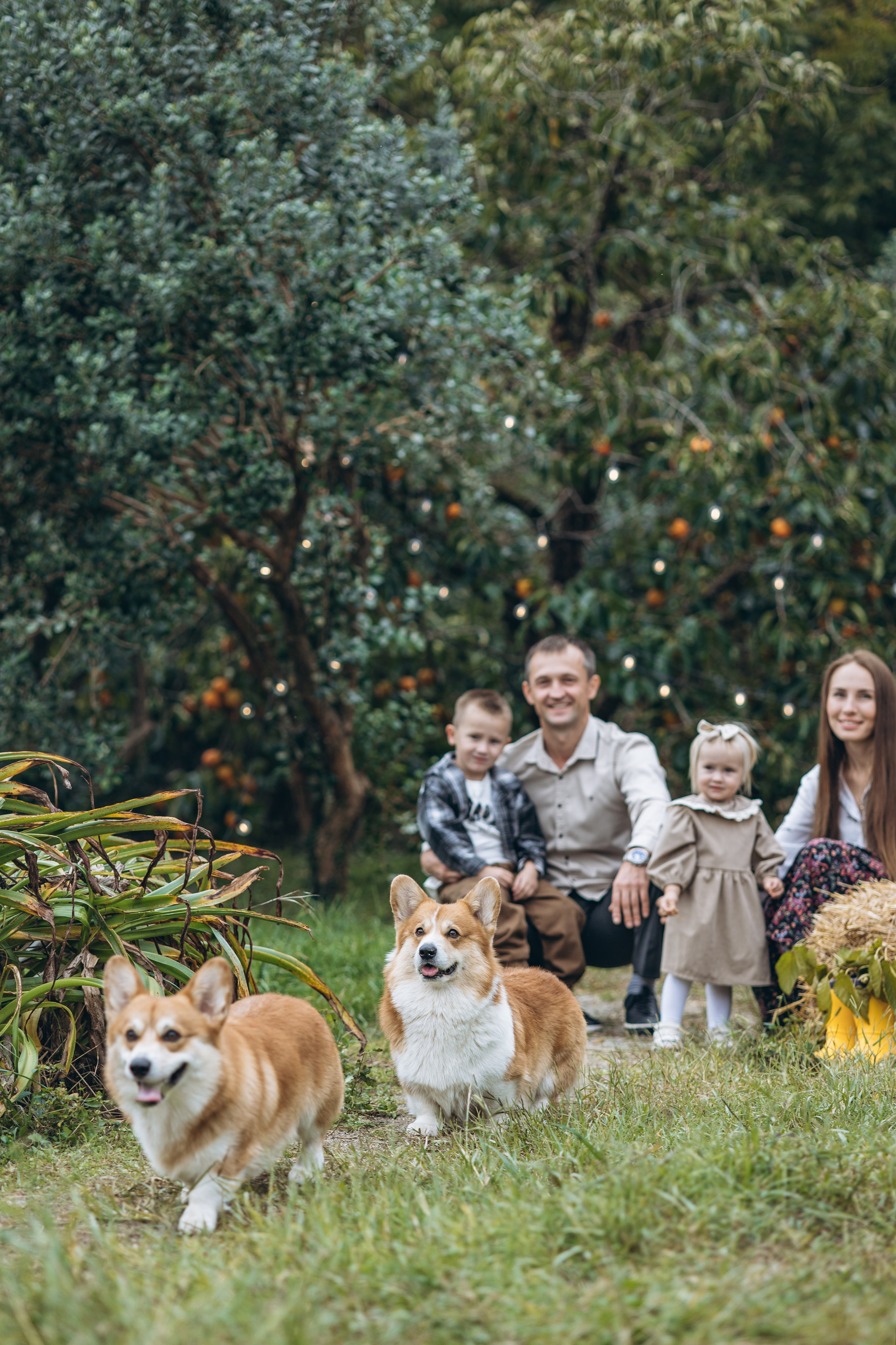 Семейный фотограф Валентина Качур в Сочи