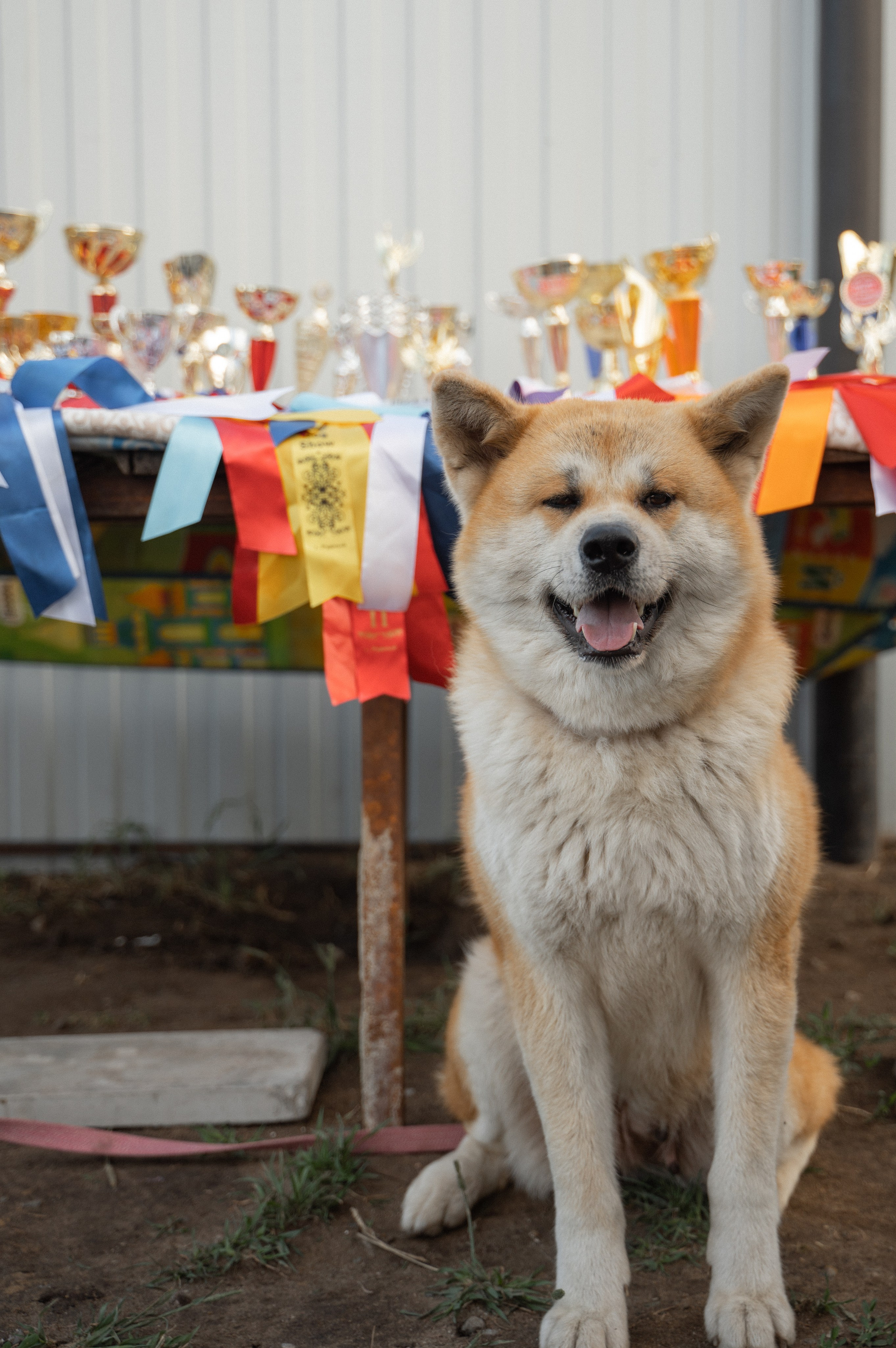 Мероприятия. ФОТОГРАФ/РУДНЫЙ/КОСТАНАЙ