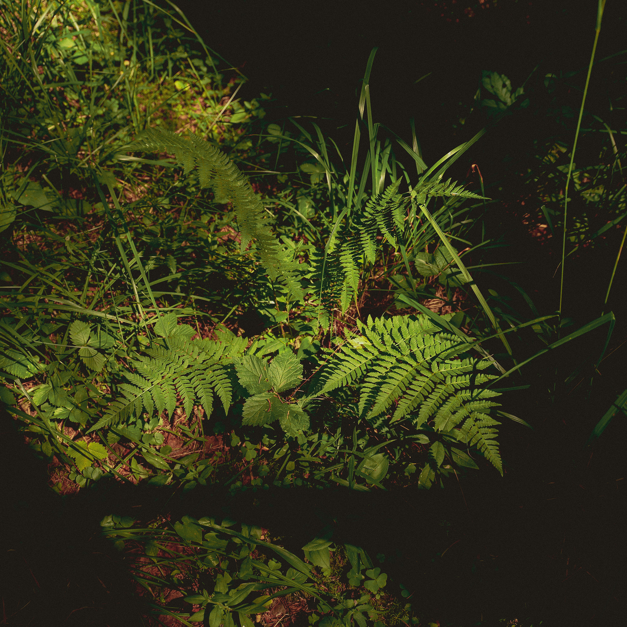 Summer hike. Фотограф/дизайнер в Екатеринбурге Хитрый Дмитрий