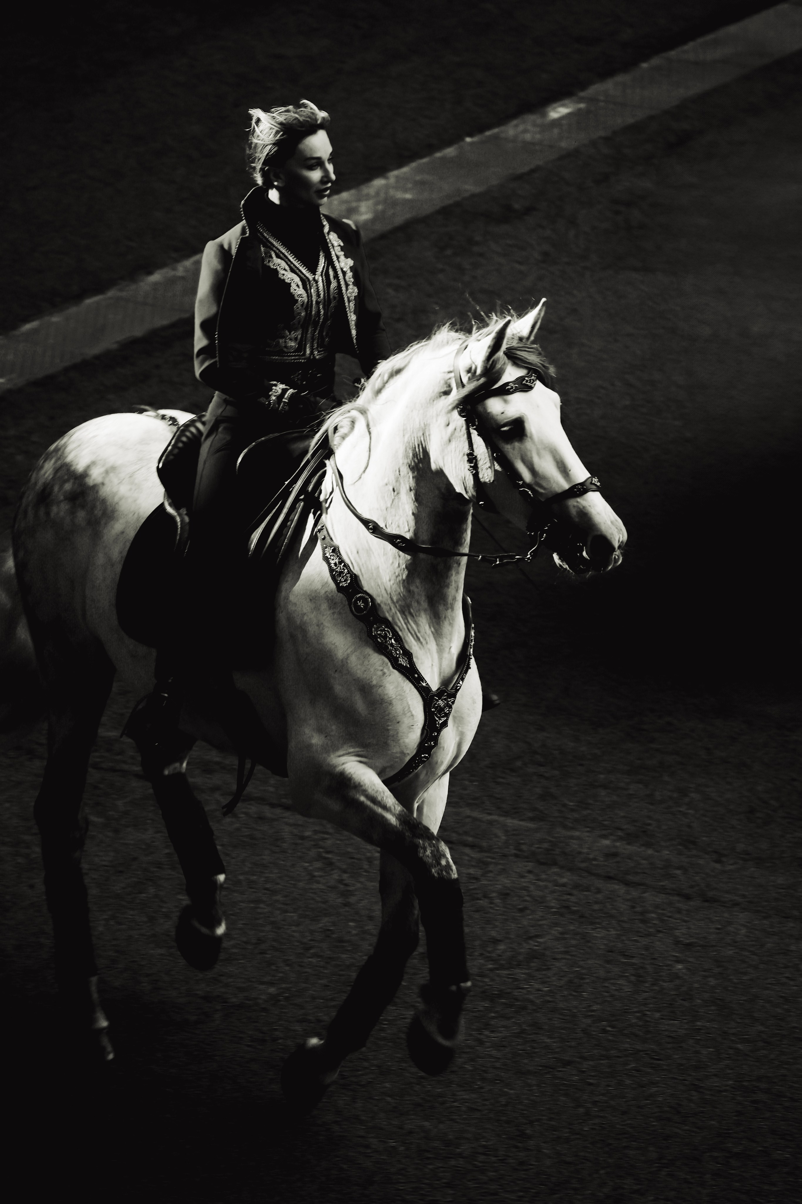 ДИМА БИЛАН ВТБ АРЕНА 21.06.25. Концертный и репортажный фотограф в Москве и Санкт-Петербурге Мария