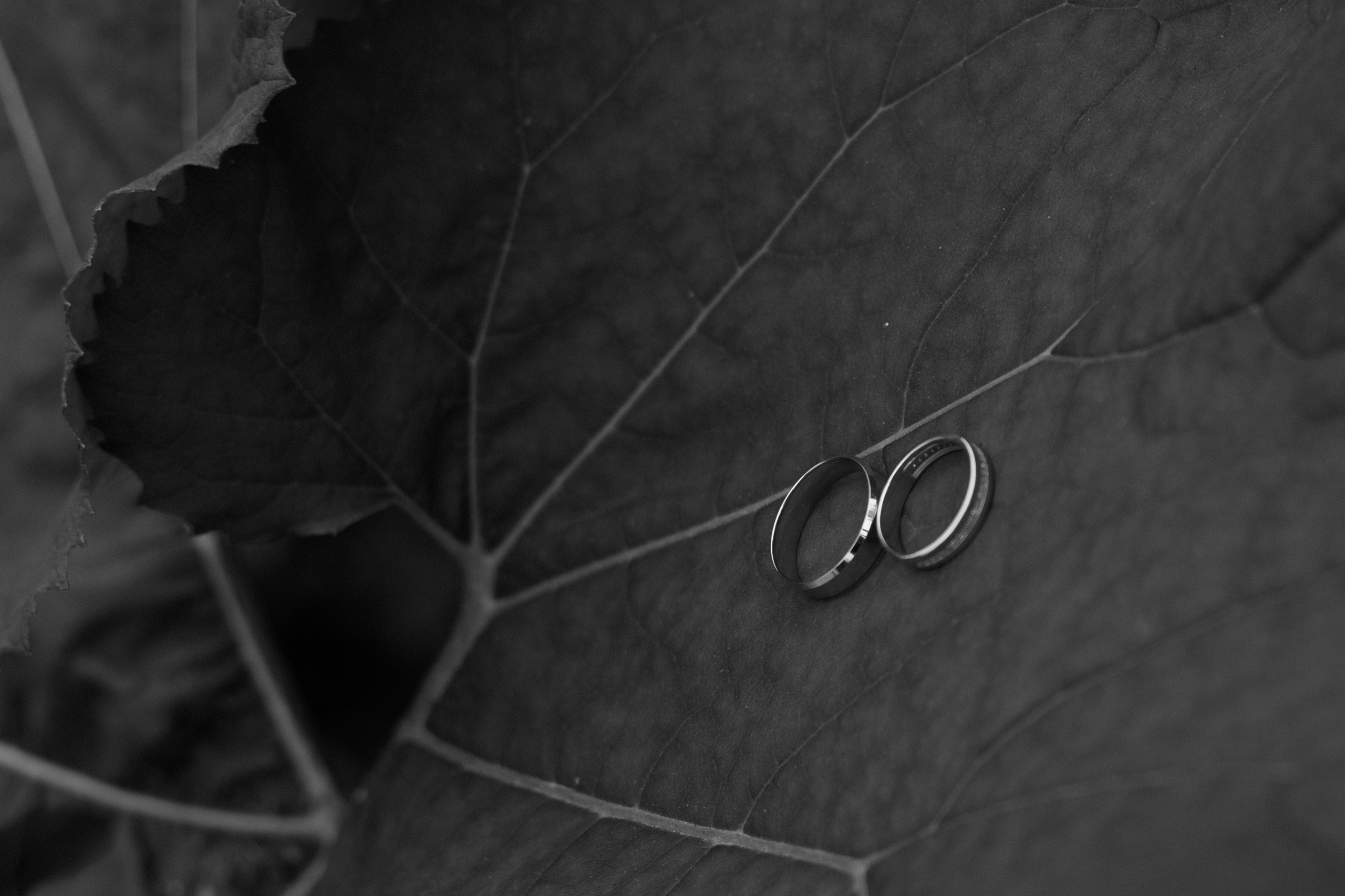 Денис и Анастасия. Семейный фотограф в Москве