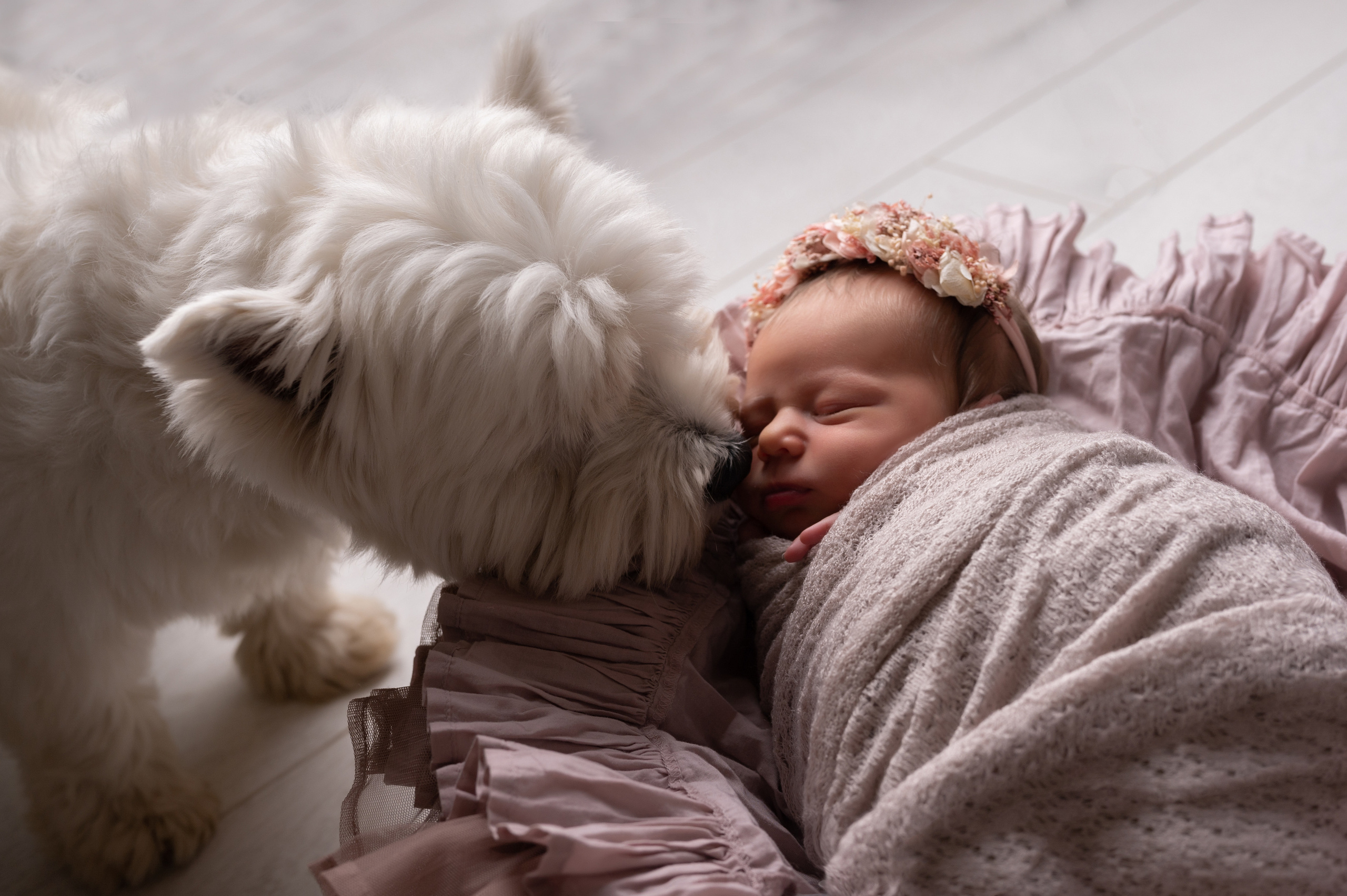 идеи для фотосессии новорожденных