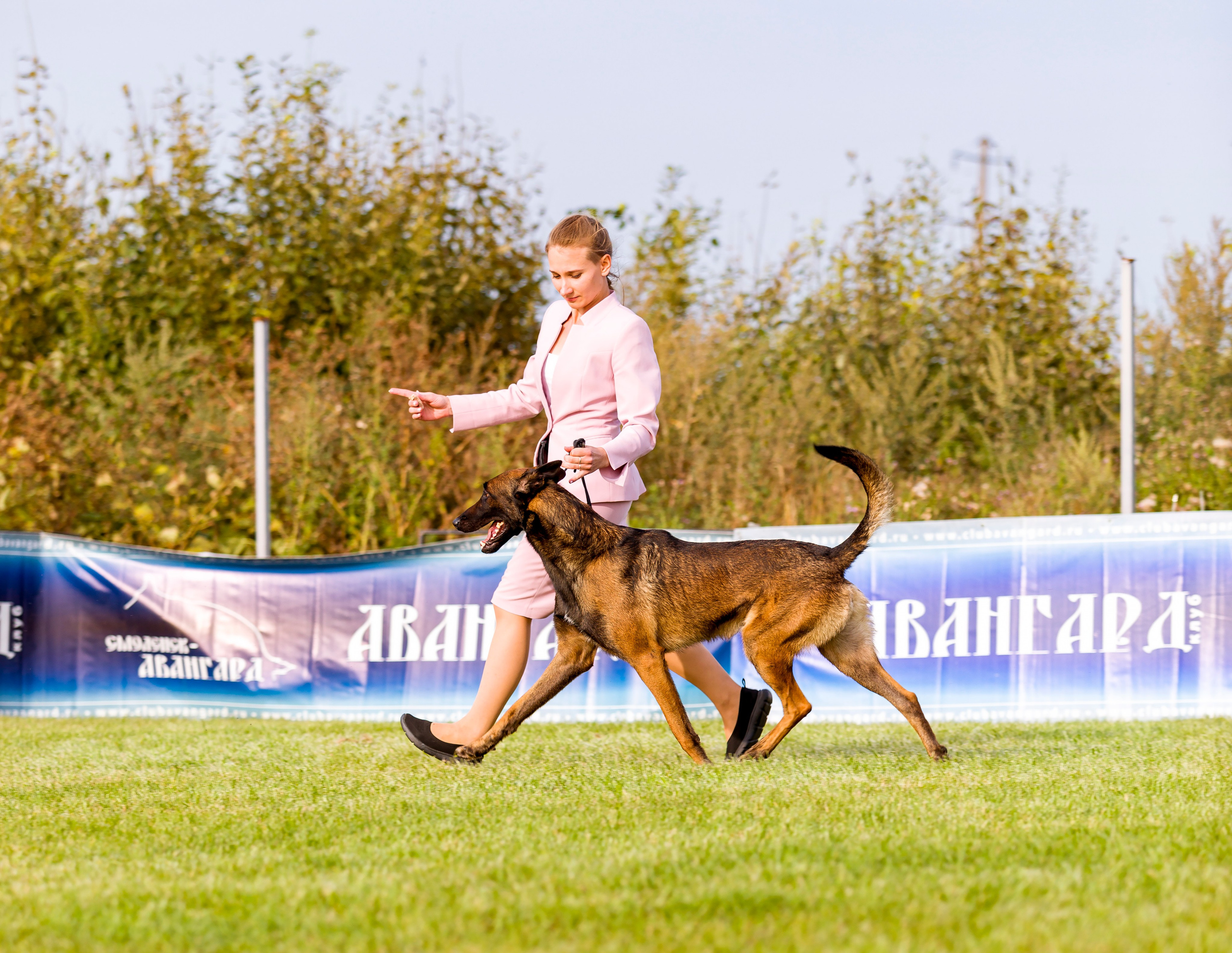 Выставки. Фотограф — анималист Татьяна Ли