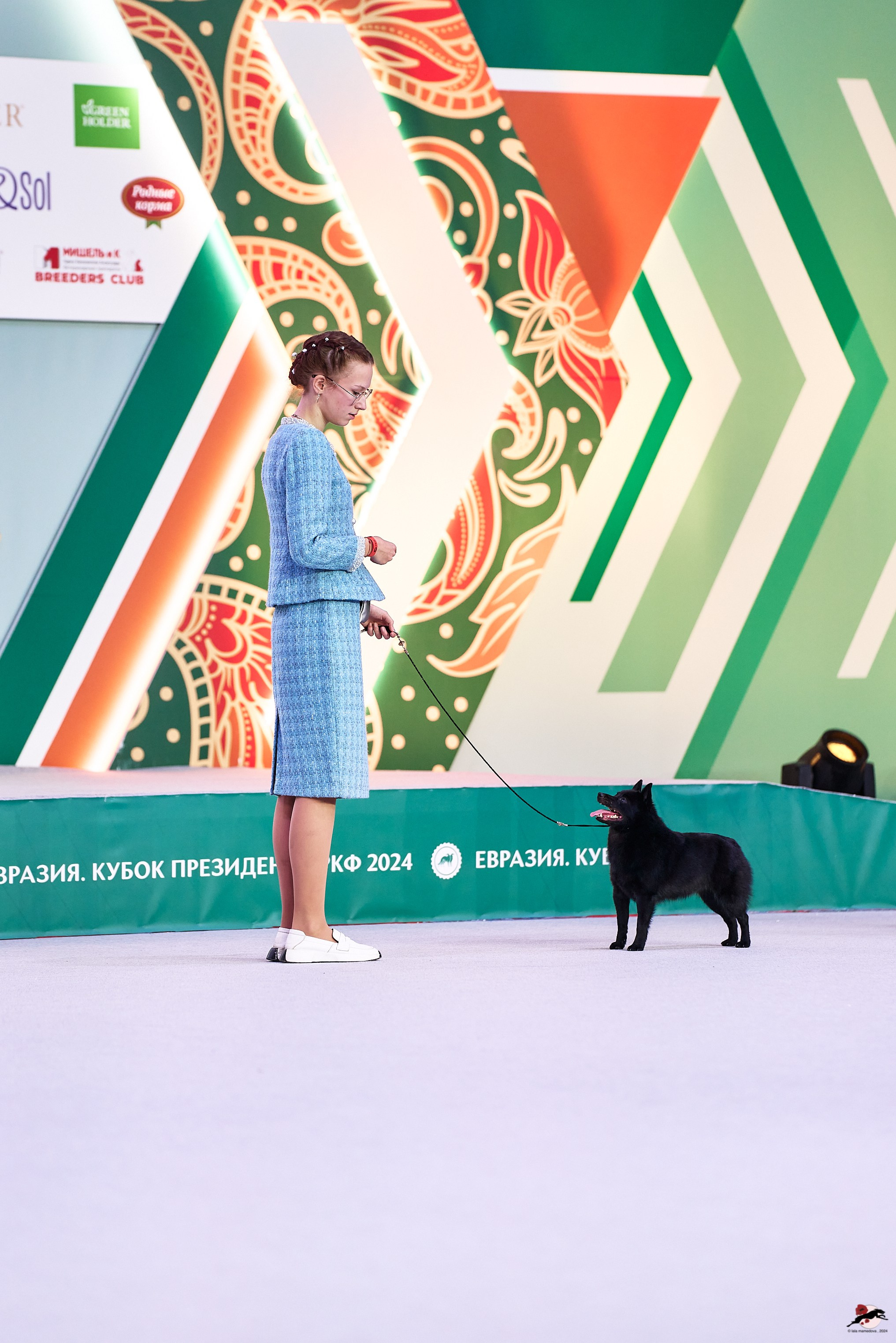 16.11.2024 «ЕВРАЗИЯ. КУБОК ПРЕЗИДЕНТА РКФ 2024»