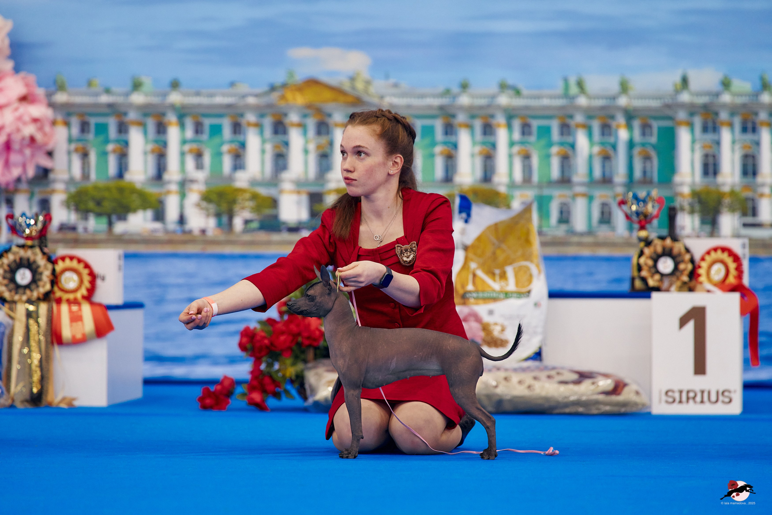 27.04.2025 | "Петербург-Элита 2025" & «КУБОК «ЭЛИТЫ»-2025»