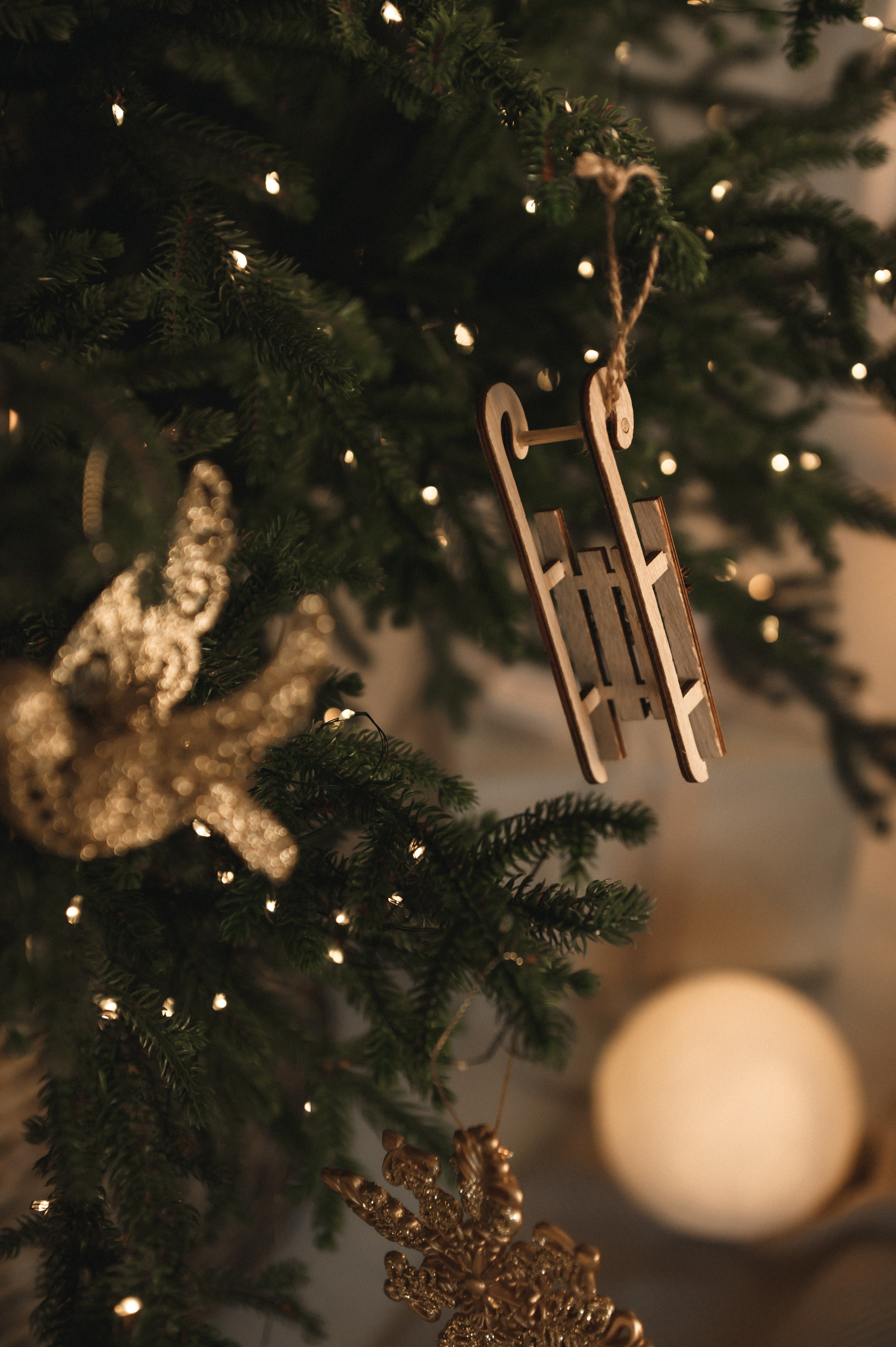 Новогодняя история. Студия. Семейный фотограф в г. Ставрополь, Сорокина Мария