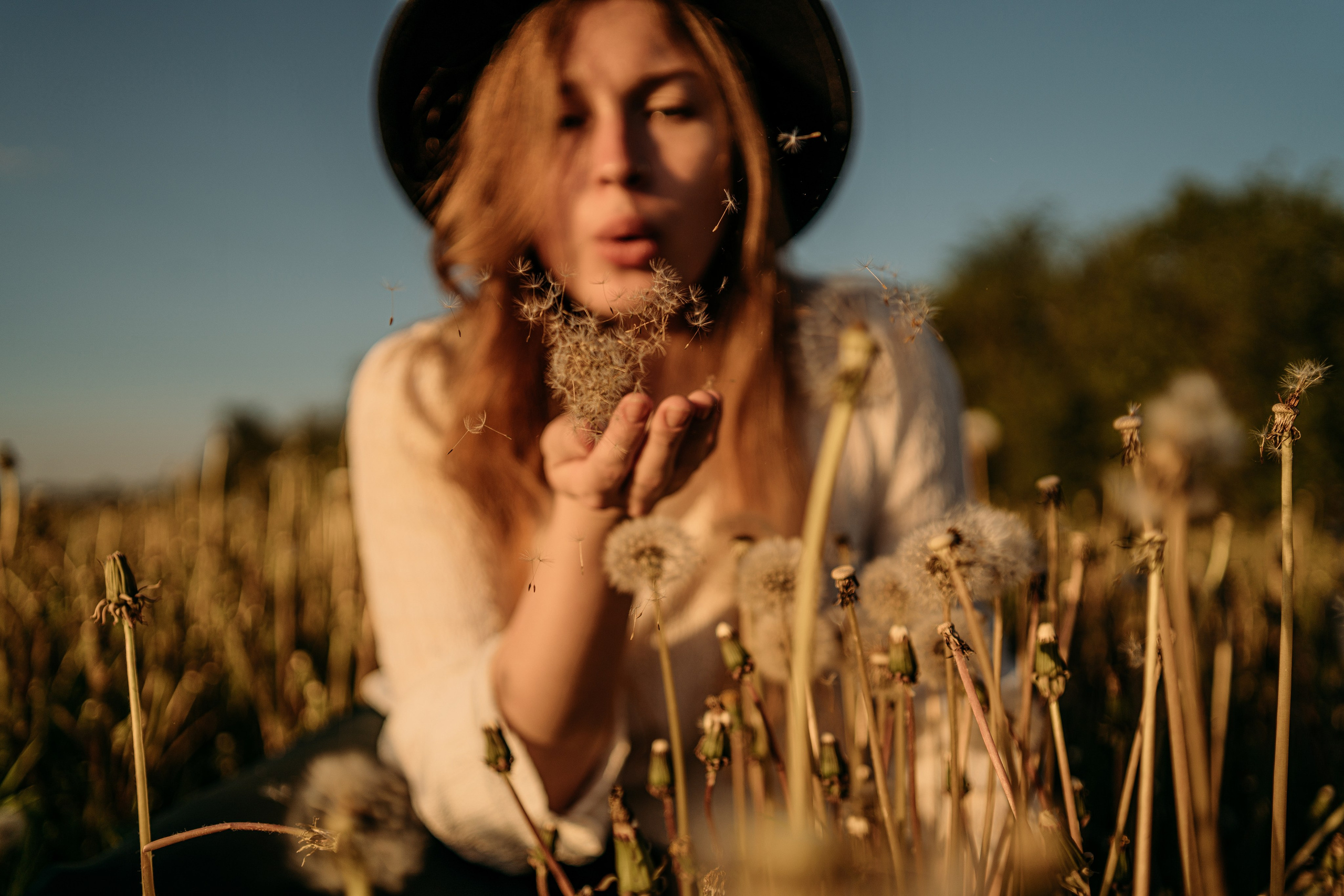 Одуванчики…. FotoTanya. Раменское/Жуковский/Бронницы