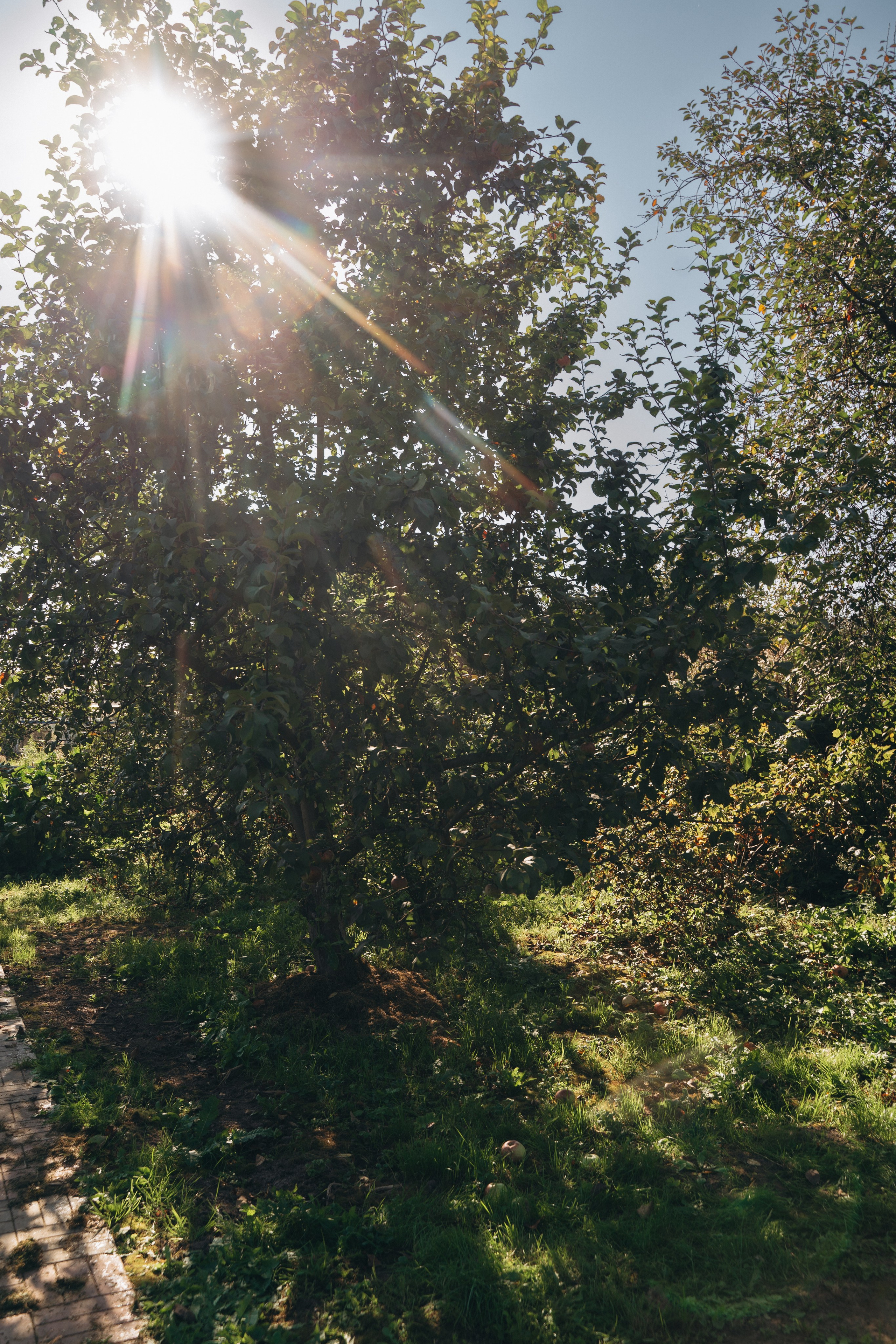 МАЙЯ🤍. FotoTanya. Раменское/Жуковский/Бронницы
