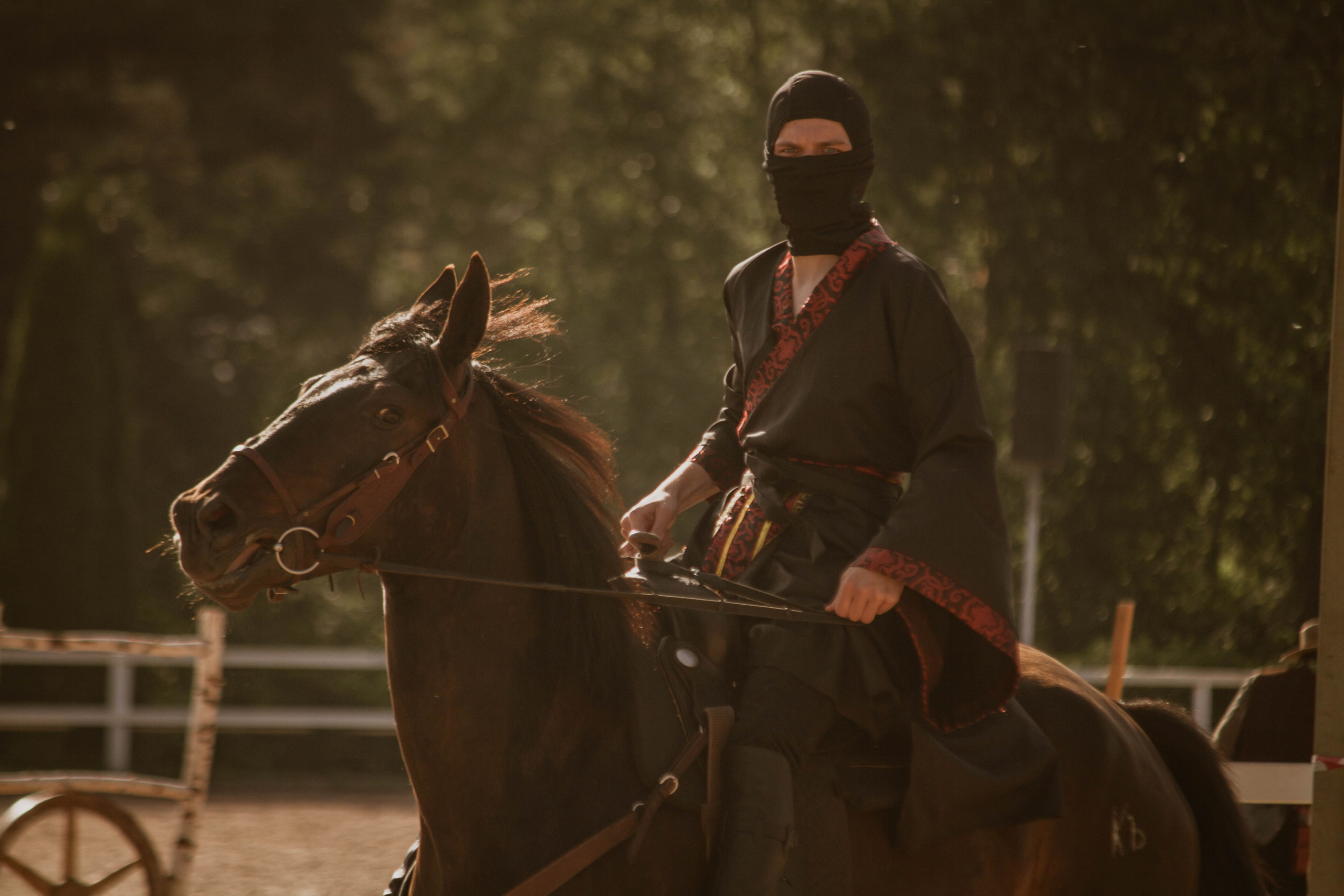 ИППОСФЕРА — Международная конная выставка. Создадим шедевр? Виталина и её фотоискусство