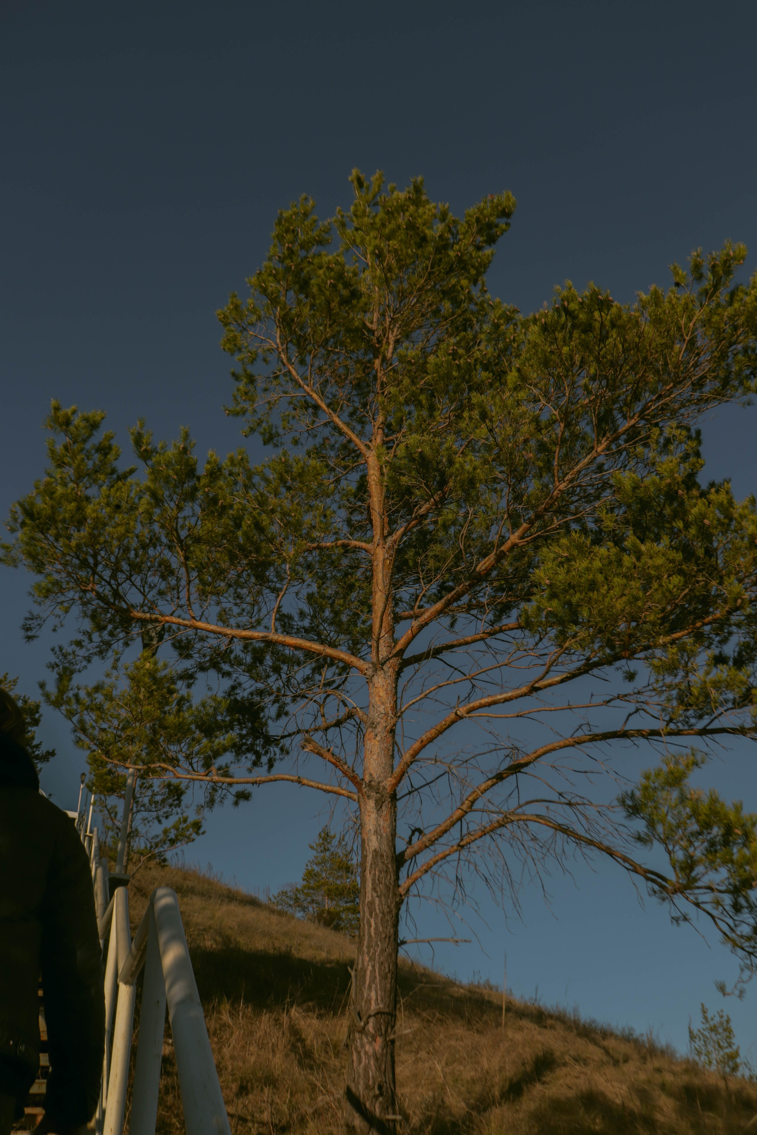 Альметьевск. Фотограф и видеограф в Бугульме Аня Трутнева