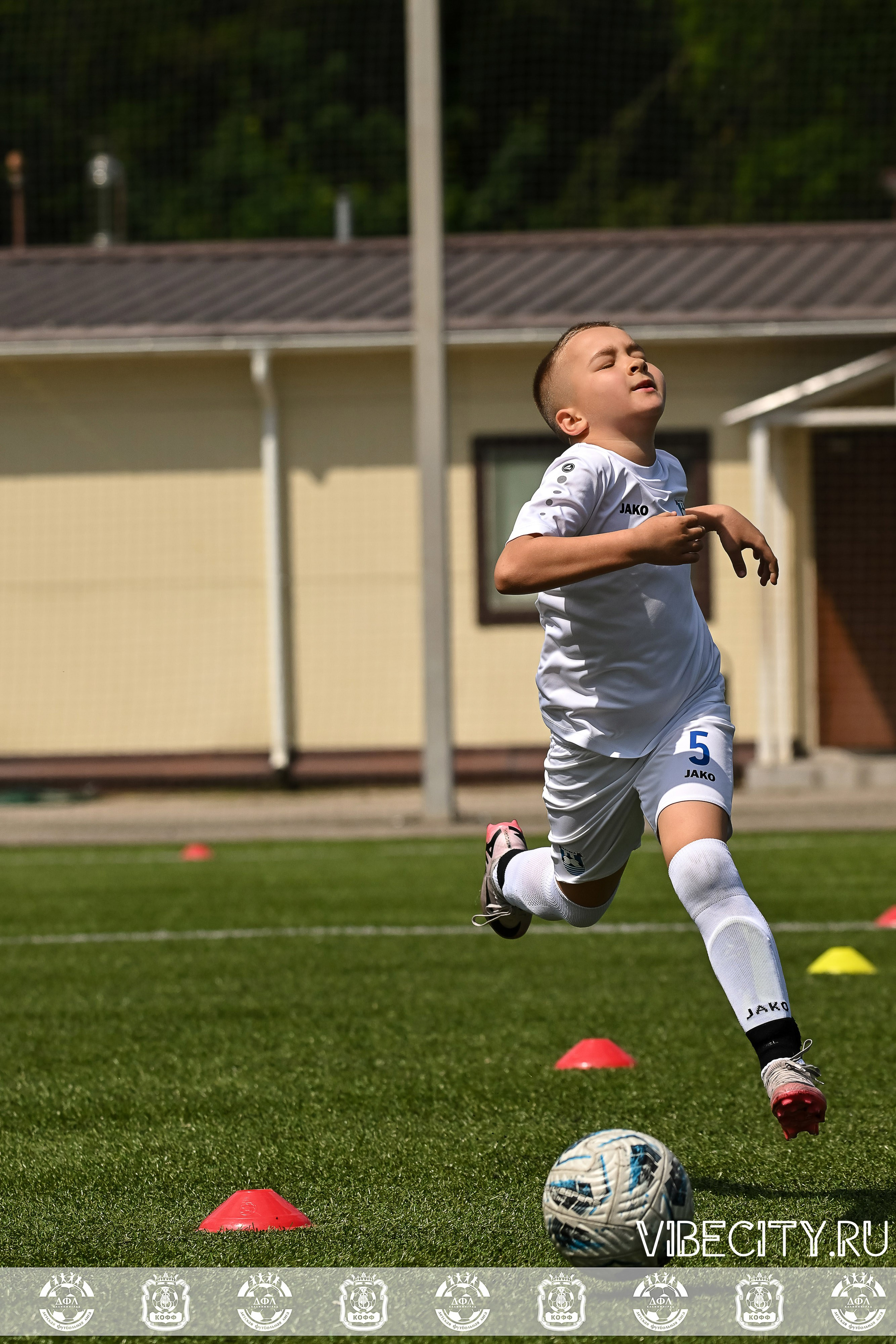 Большие Звезды светят Малым. VIBECITY.RU Вайб Сити Ру Фоторепортажи Фотоотчеты Калининград