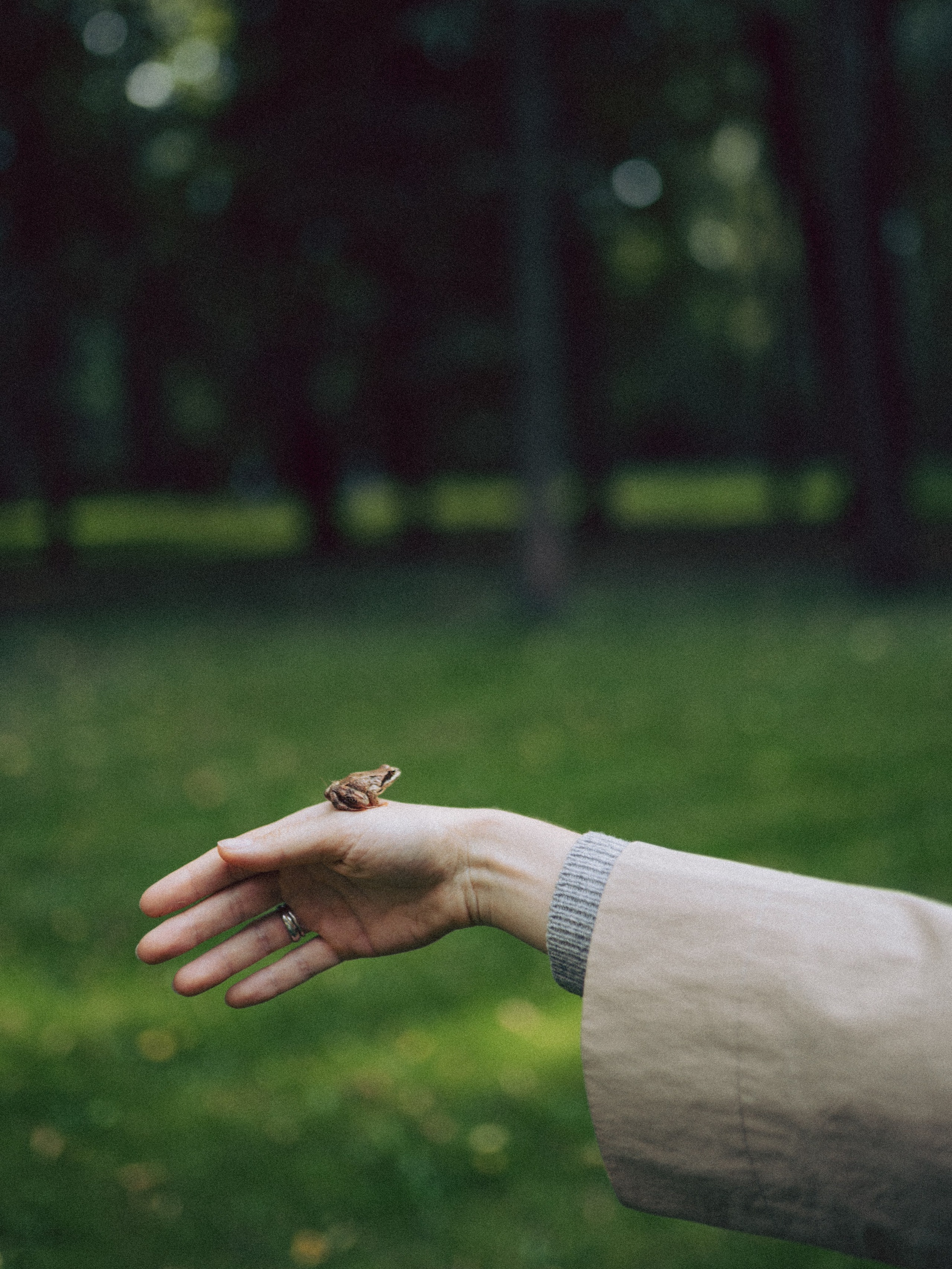 Сентябрь. Фотограф Москва Селюкова Юлия