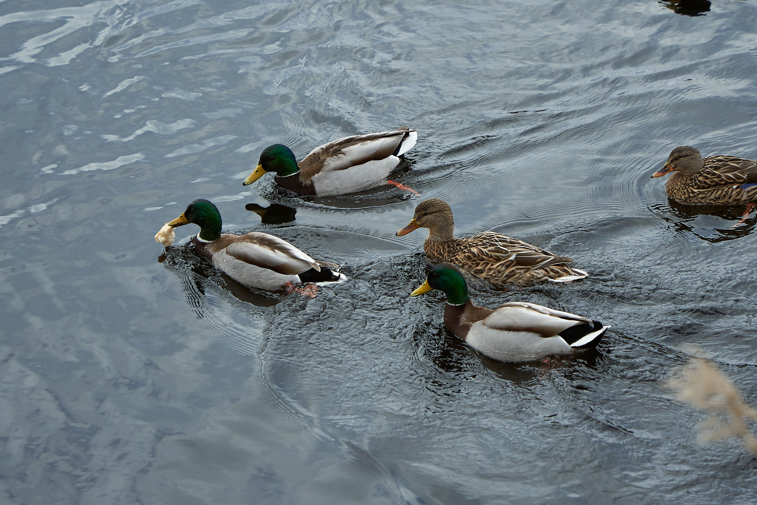 Фотографии улиц и пляжей Анапы. Профессиональный фотограф в Анапе Артем Ковальский